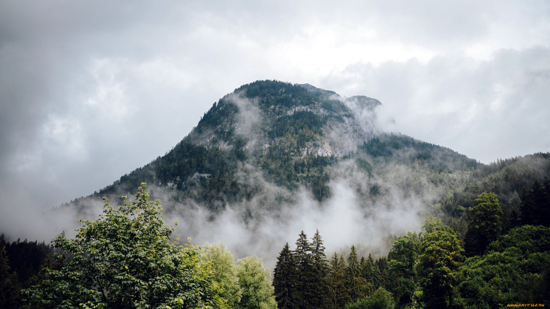 природа, горы, вершина, гора, туман