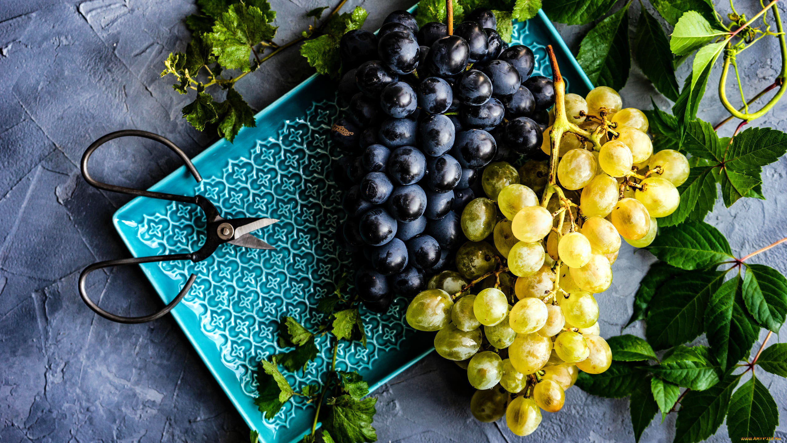 еда, виноград, ножницы, грозди, листья