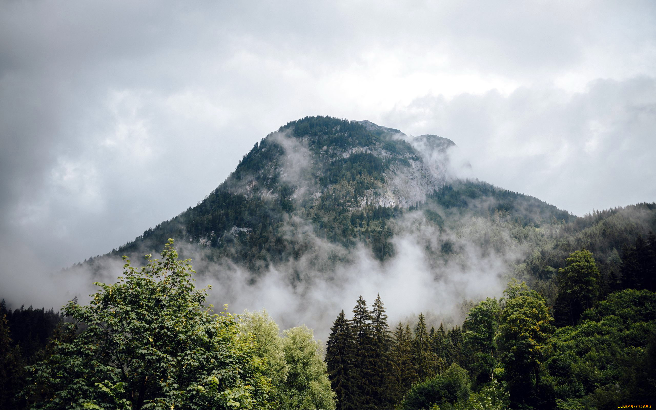 природа, горы, вершина, гора, туман