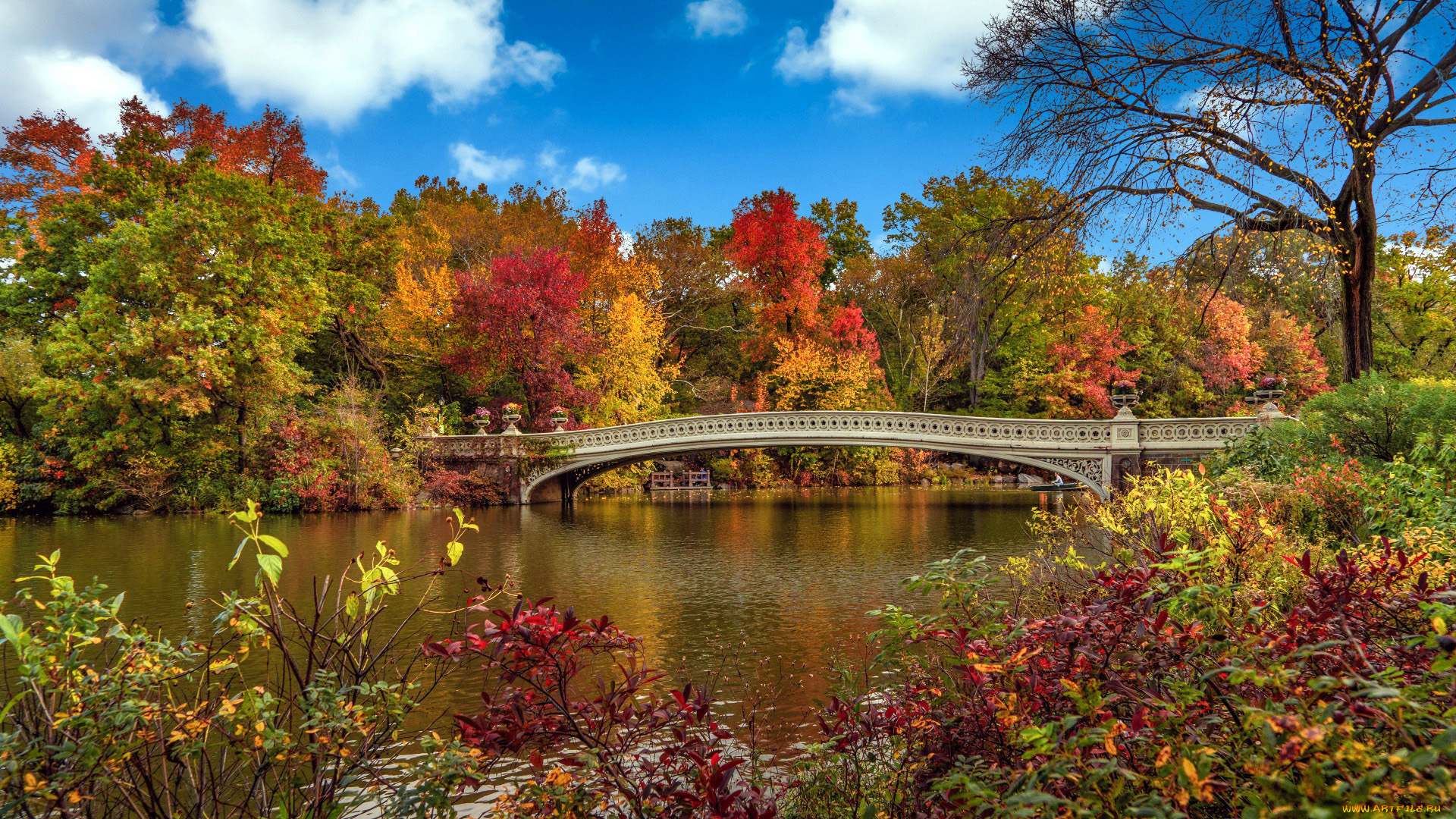 природа, парк, осень, река, мост