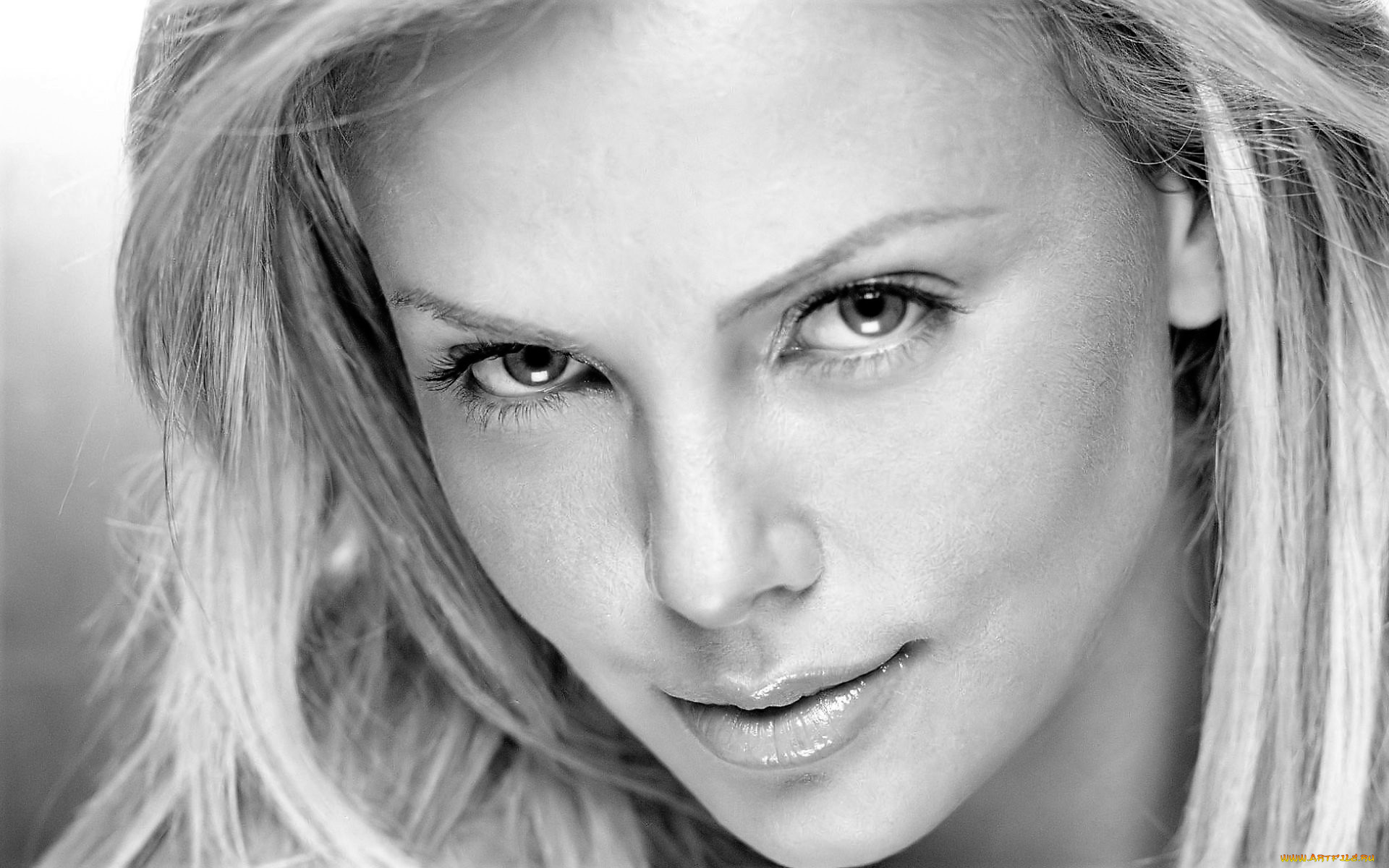 девушки, charlize, theron, лицо, блондинка, черно-белая, актриса