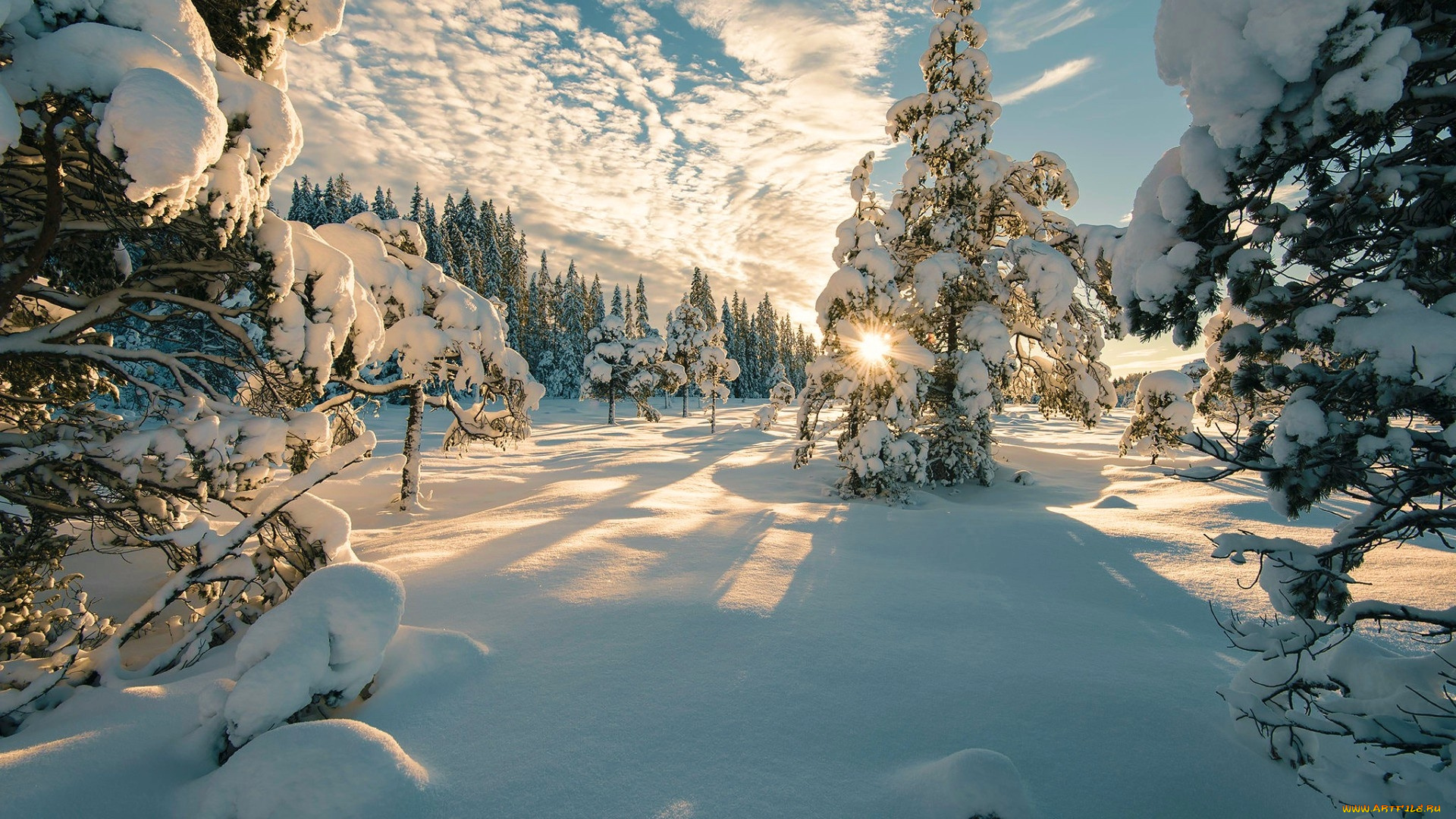 norwegian, winter, природа, зима, norwegian, winter