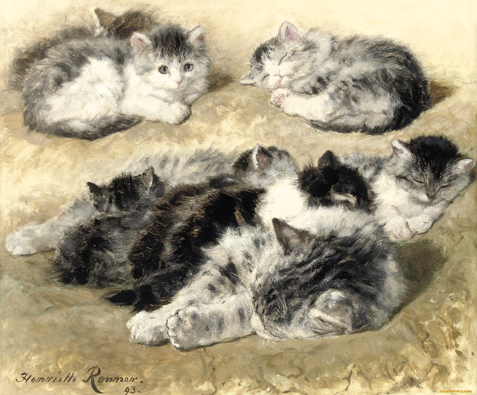 рисованное, henriette, ronner-knip, кошка, котята