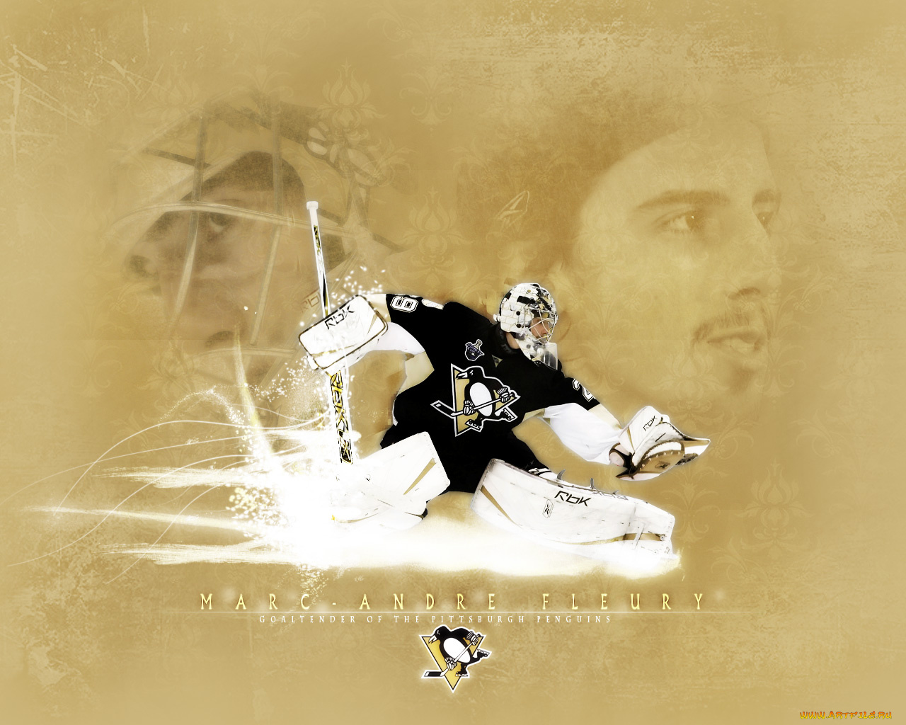 fleury, спорт, nhl