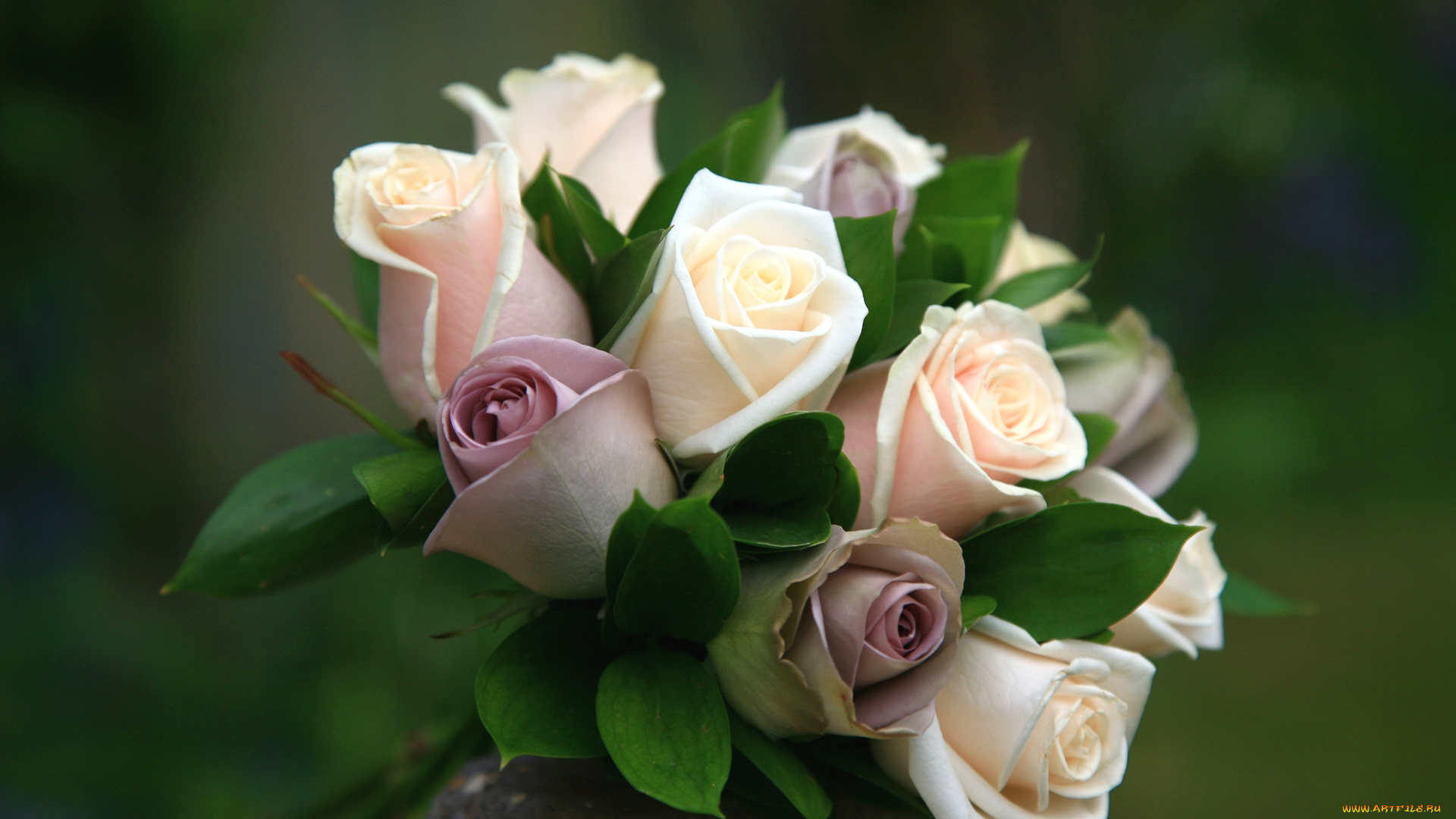 цветы, розы, букет, свадебный
