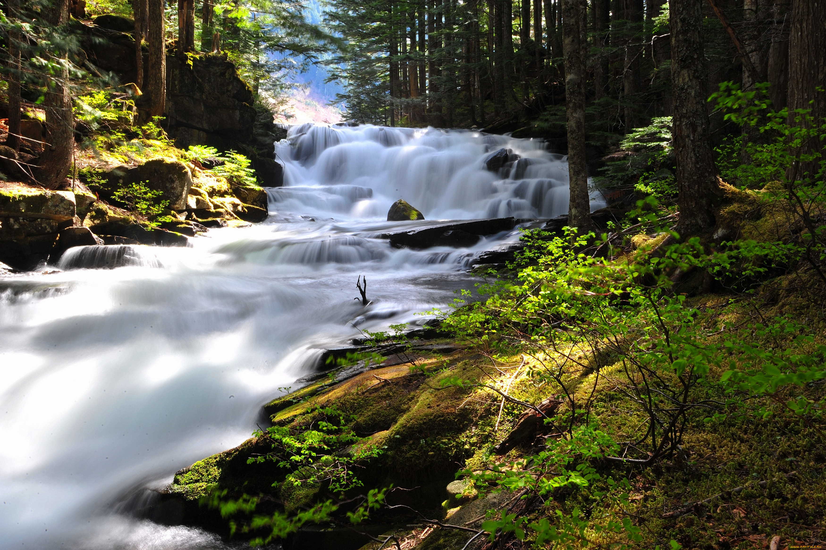 природа, водопады, вода, поток