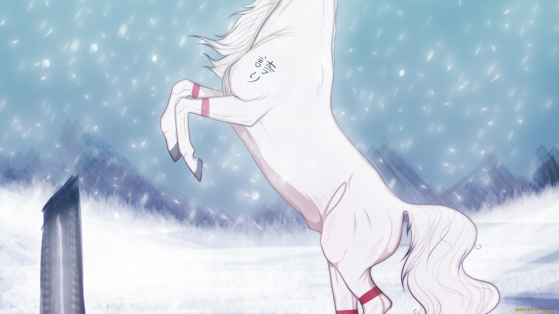 рисованные, животные, , лошади, снег, белая, лошадь