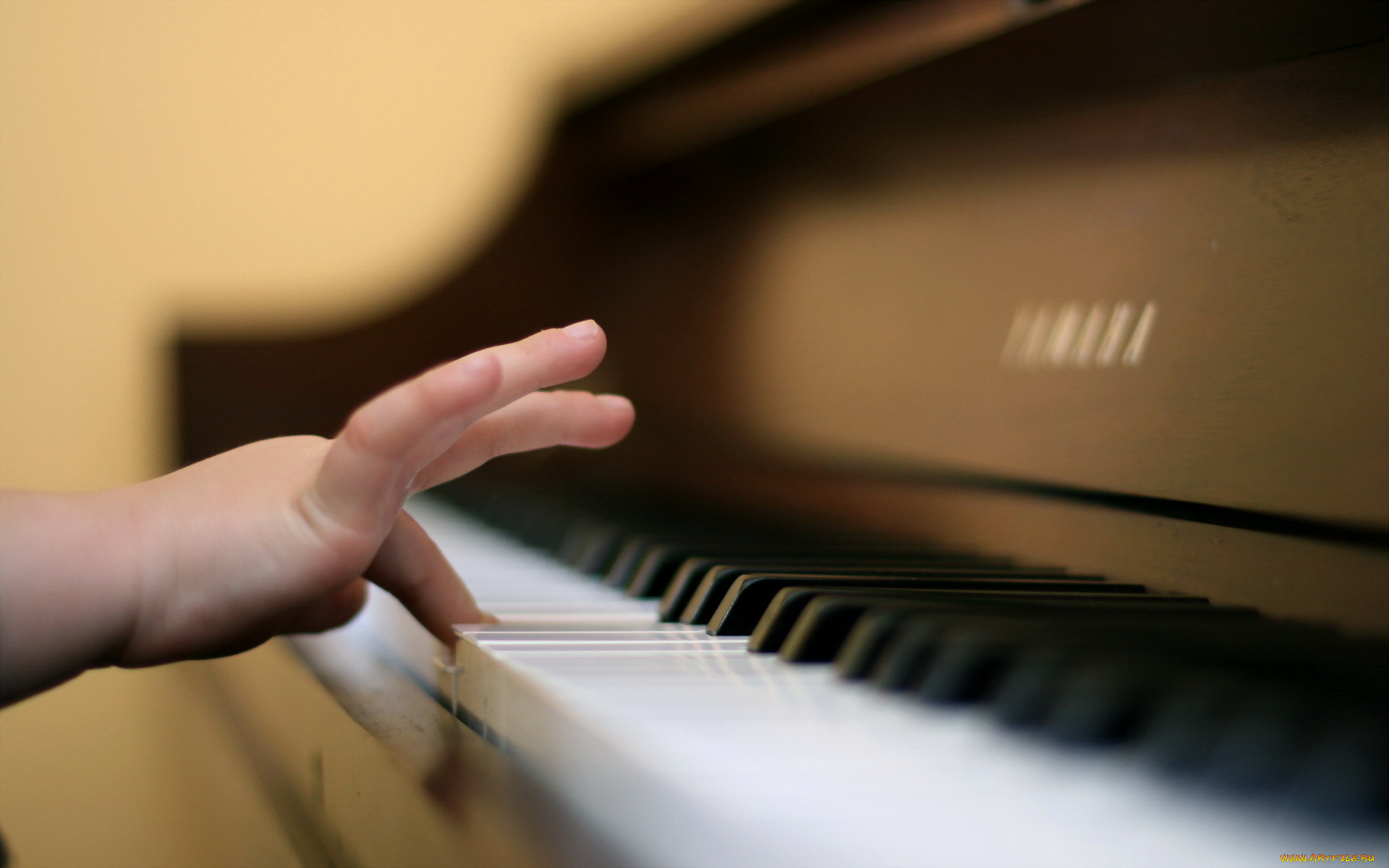 музыка, -музыкальные, инструменты, клавиши, руки
