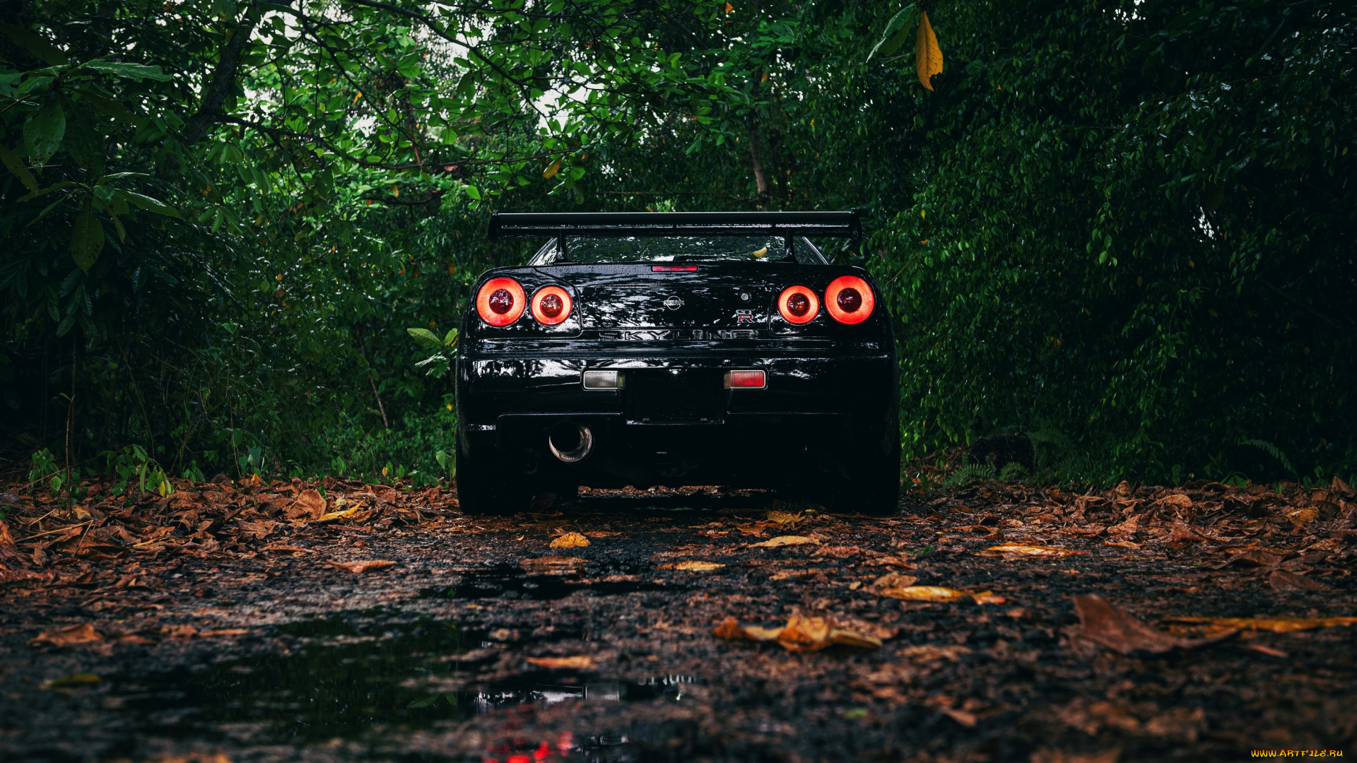 автомобили, nissan, datsun, black, skyline, r34, spoiler, trees, leaves