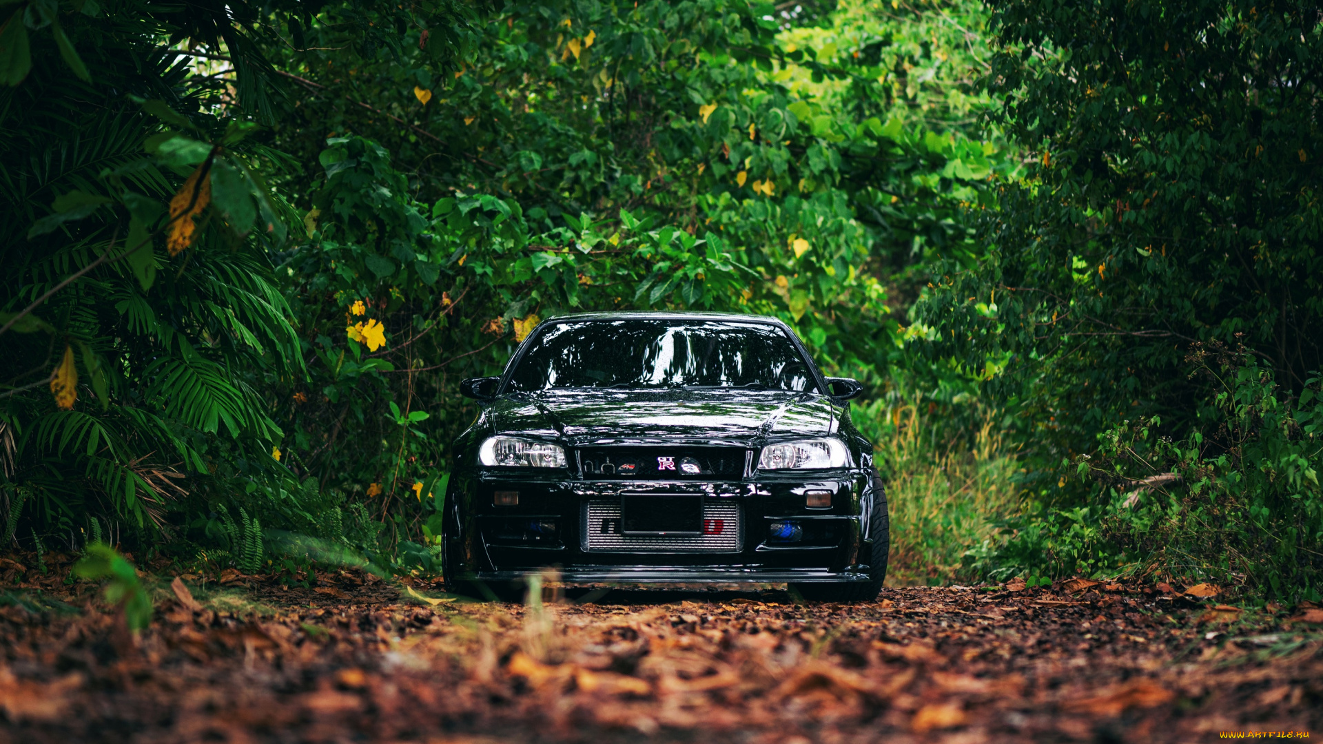 автомобили, nissan, datsun, black, skyline, r34, trees, leaves