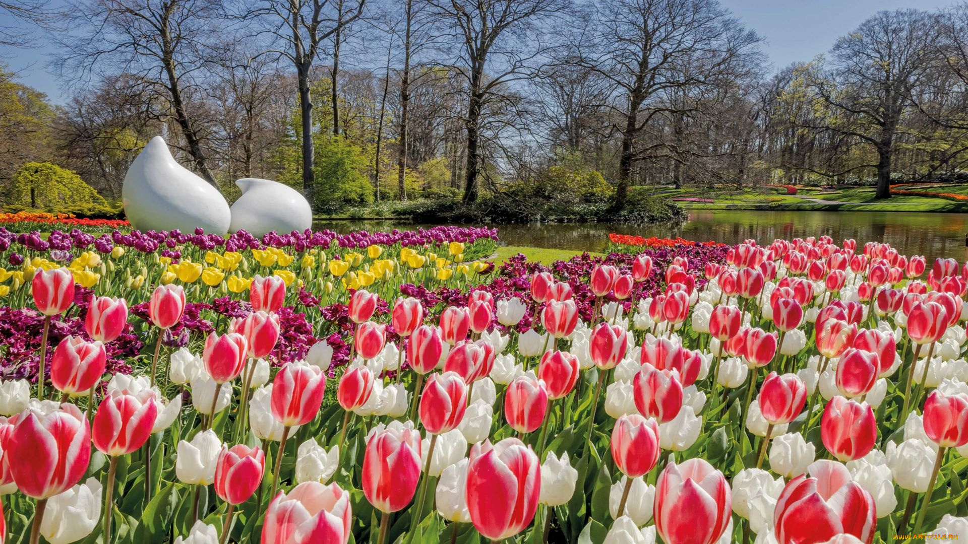 keukenhof, garden, netherlands, природа, парк, keukenhof, garden