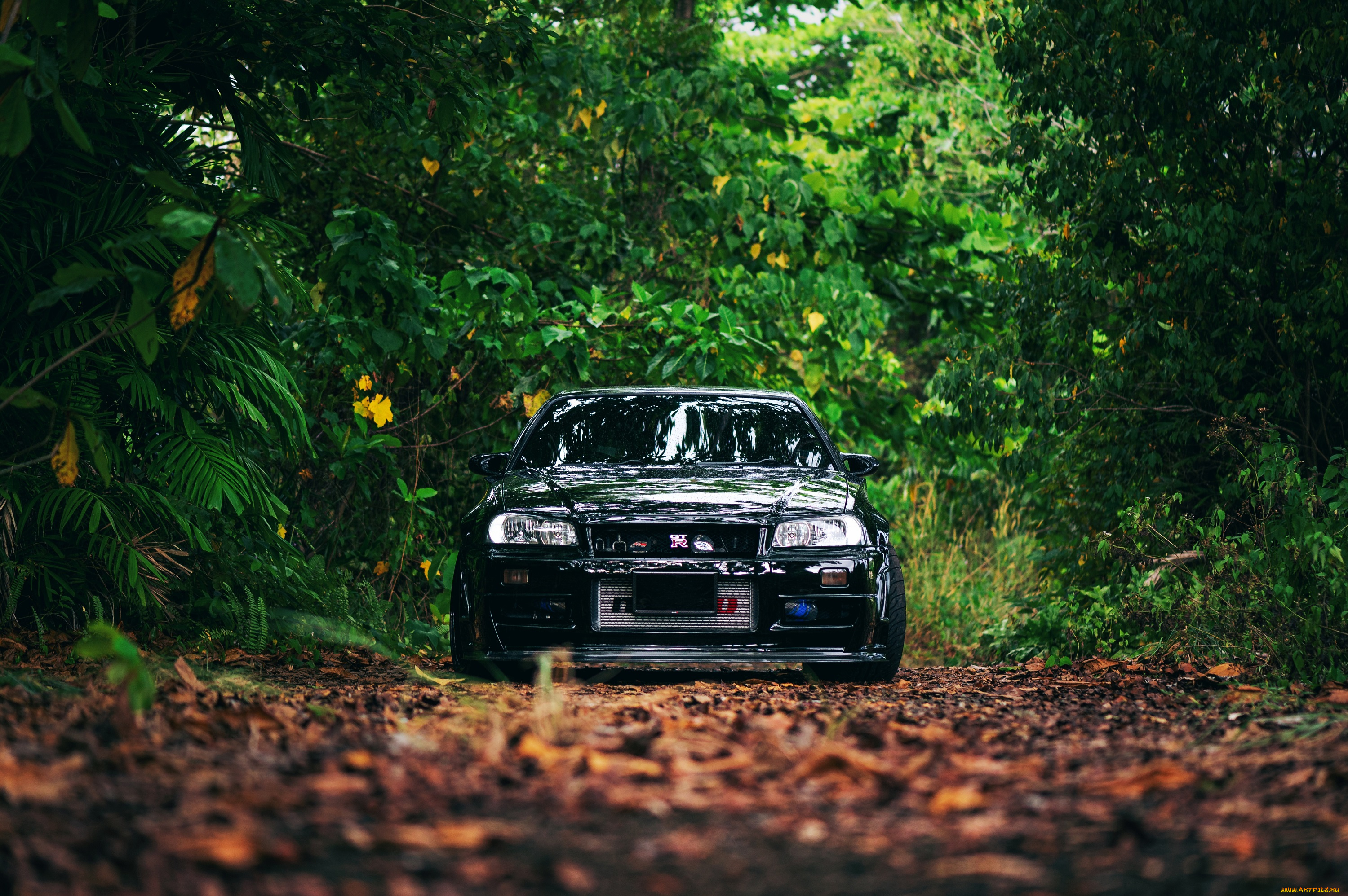 автомобили, nissan, datsun, black, skyline, r34, trees, leaves