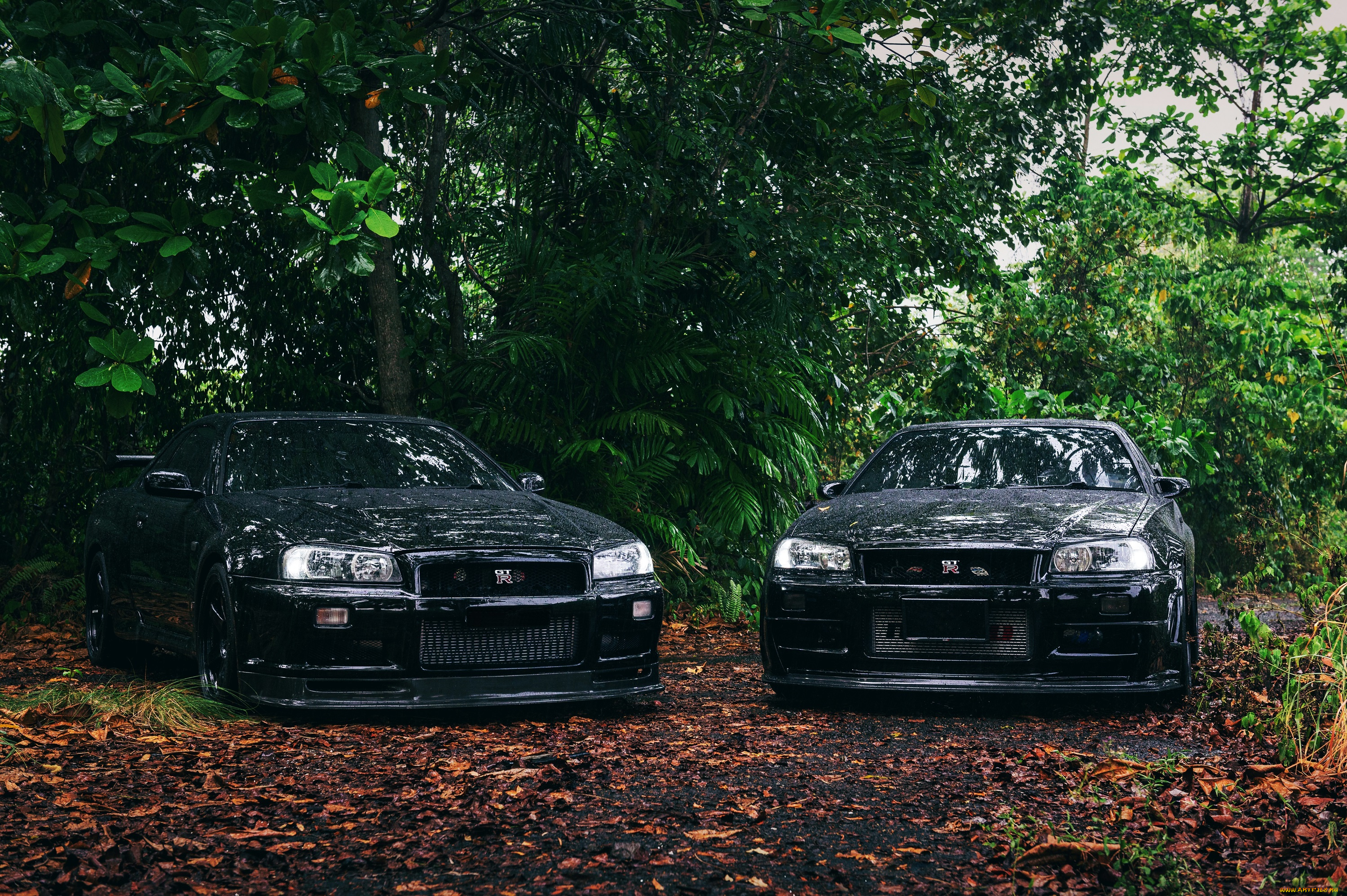 автомобили, nissan, datsun, black, skyline, r34, trees, nismo