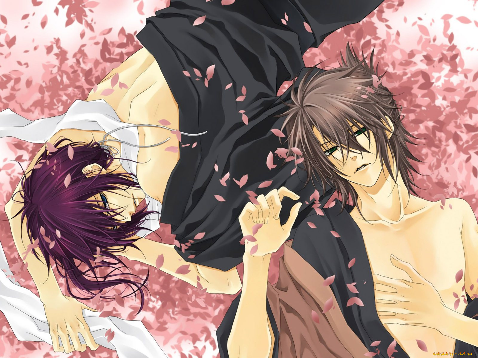 аниме, hakuoki