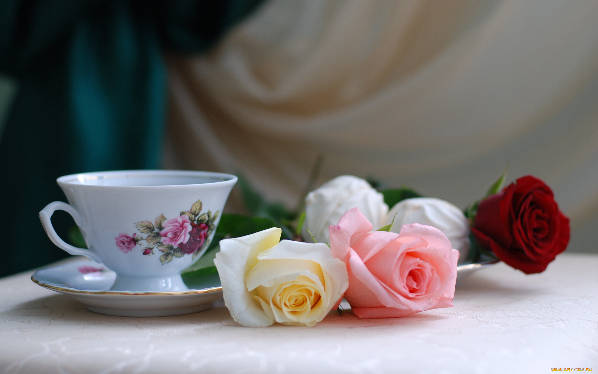 цветы, розы, чашка