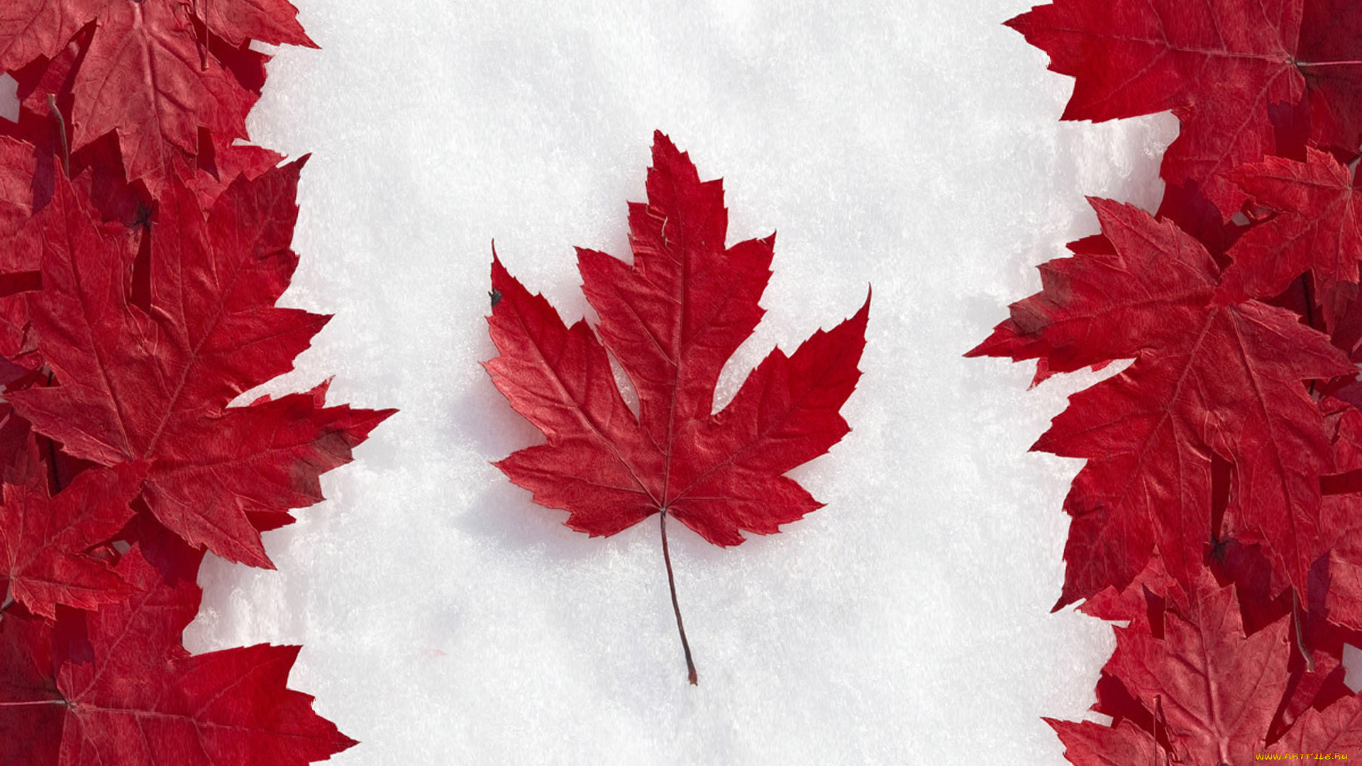 разное, флаги, , гербы, клен, кленовые, снег, красные, листья, флаг, канада