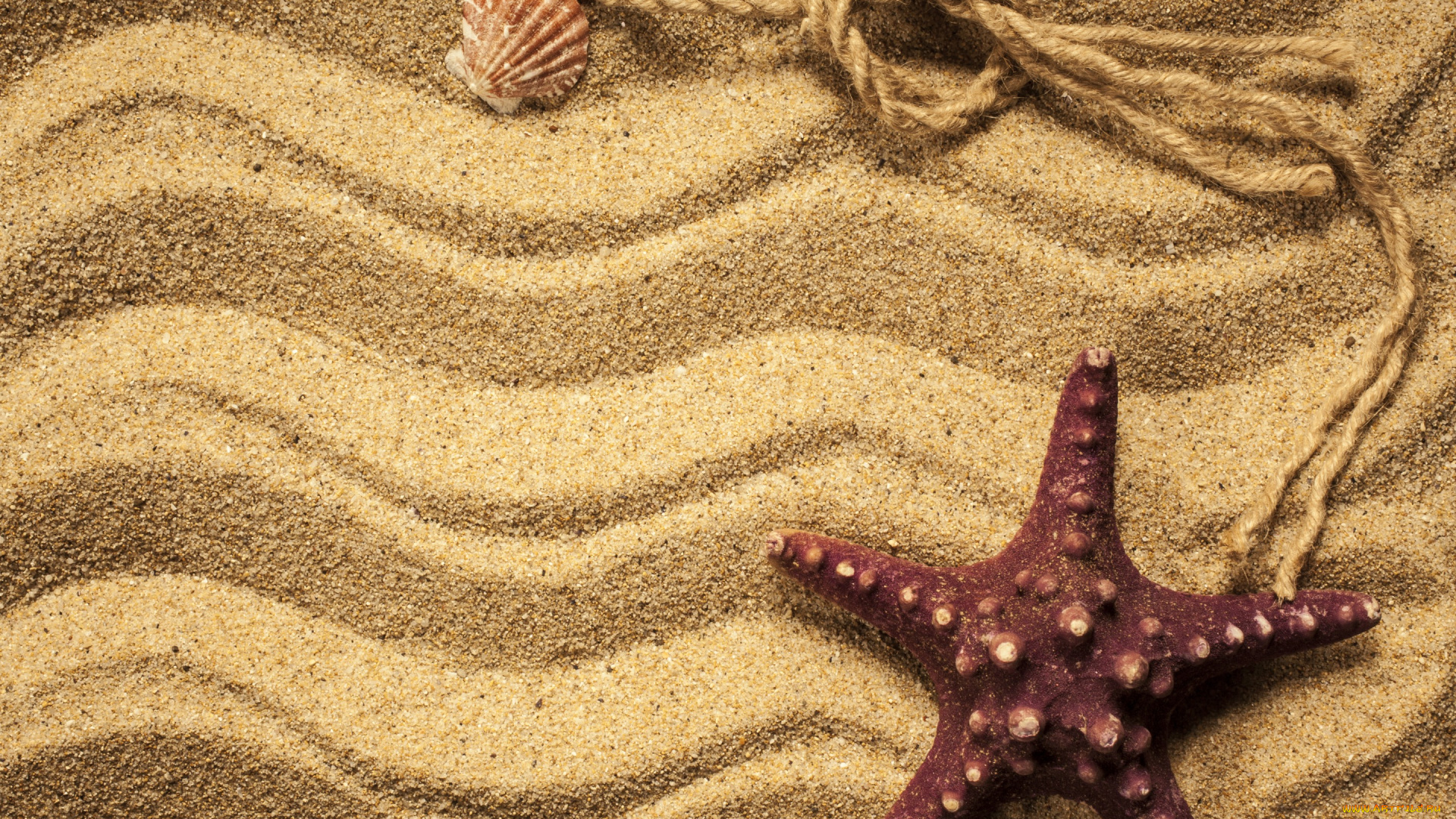 разное, ракушки, , кораллы, , декоративные, и, spa-камни, beach, texture, sand, песок, starfish, marine, морская, звезда