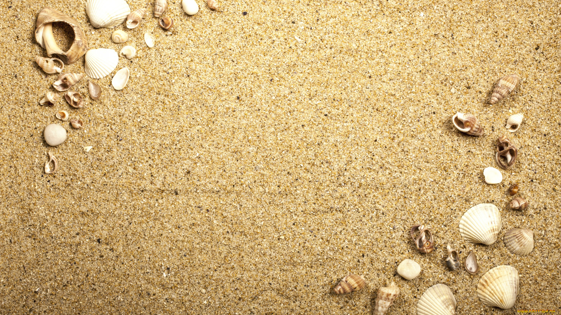 разное, ракушки, , кораллы, , декоративные, и, spa-камни, beach, texture, sand, песок, seashells, marine