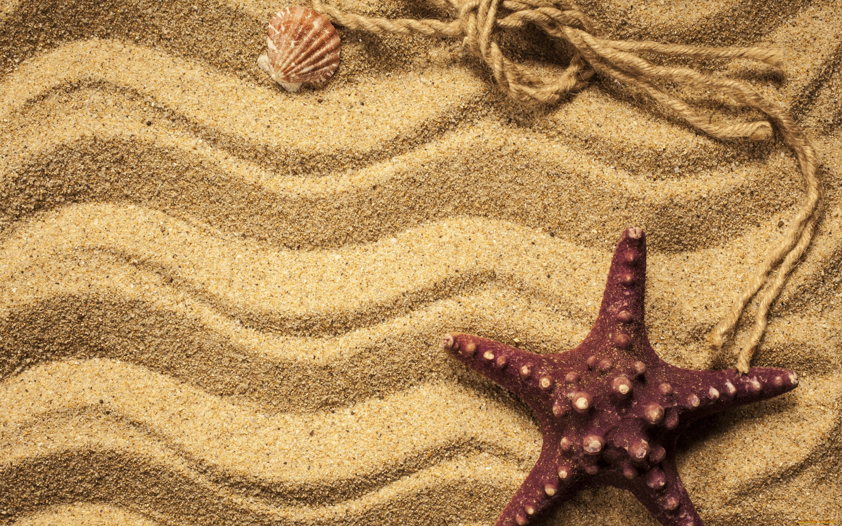 разное, ракушки, , кораллы, , декоративные, и, spa-камни, beach, texture, sand, песок, starfish, marine, морская, звезда