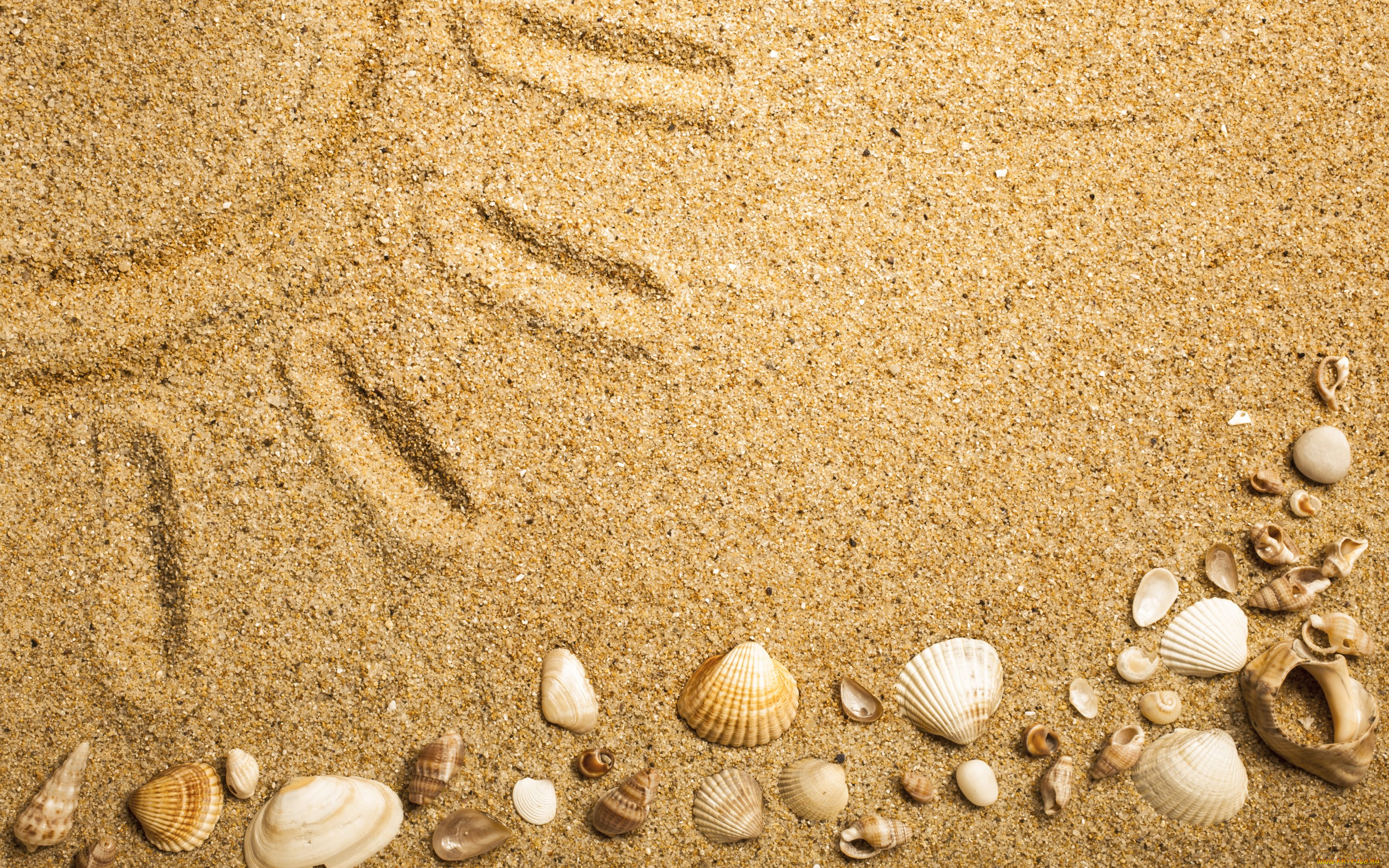 разное, ракушки, , кораллы, , декоративные, и, spa-камни, песок, texture, sand, seashells, marine, beach