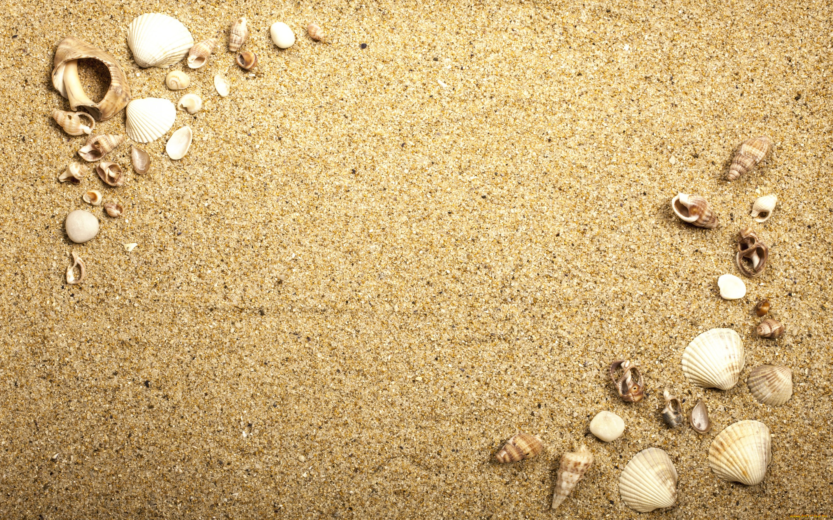 разное, ракушки, , кораллы, , декоративные, и, spa-камни, beach, texture, sand, песок, seashells, marine