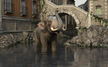Картинка 3д+графика животные+ animals слон фон