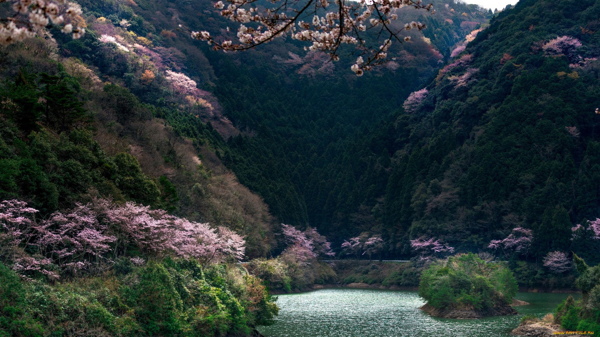 Япония, природа, горы, водоем, цветы, деревья
