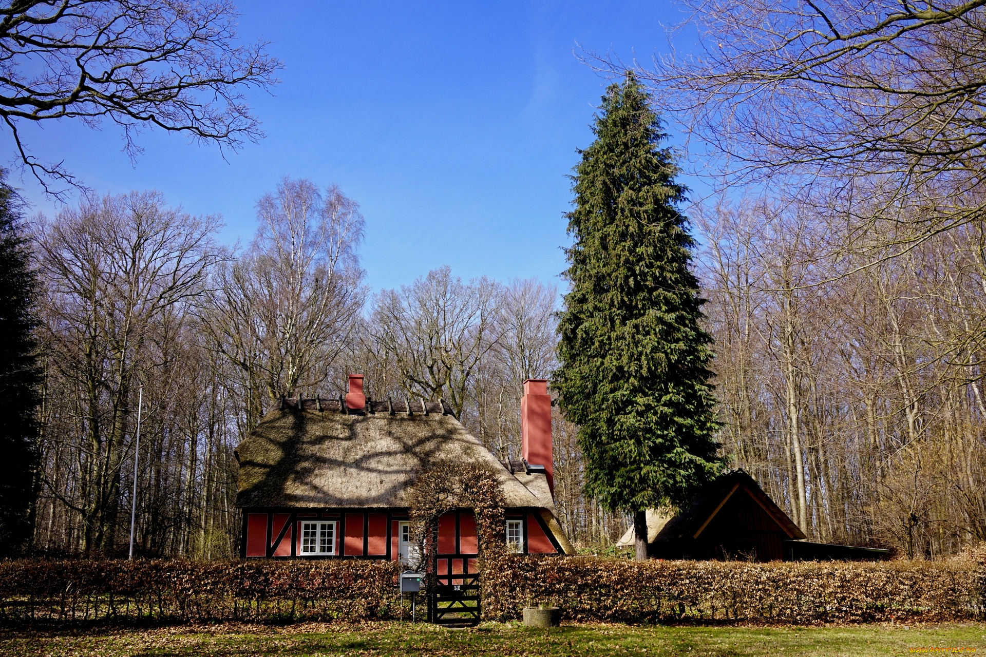 германия, города, -, здания, , дома, изгородь, деревья, дом