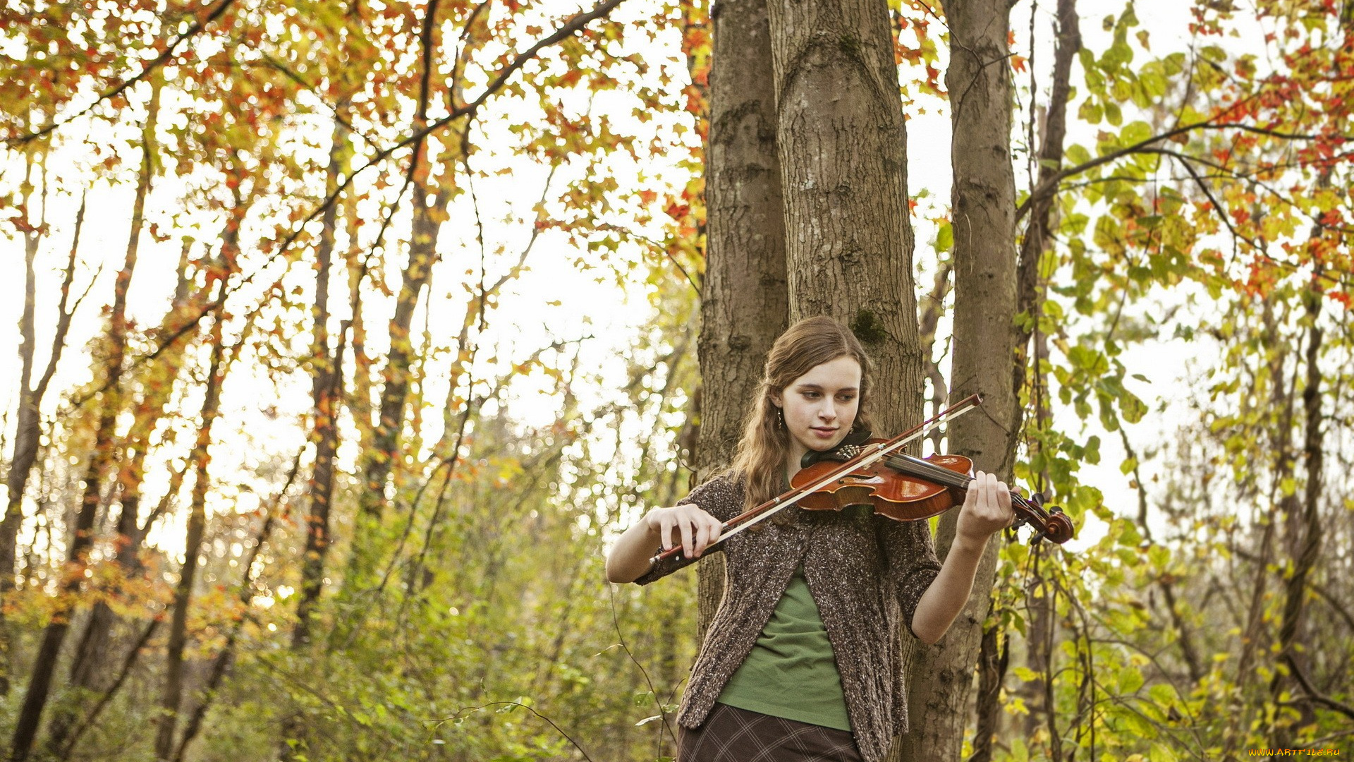 музыка, -другое, природа, деревья, девушка, скрипка