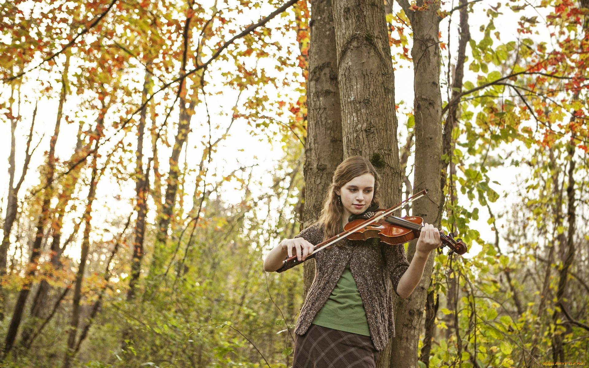 музыка, -другое, природа, деревья, девушка, скрипка