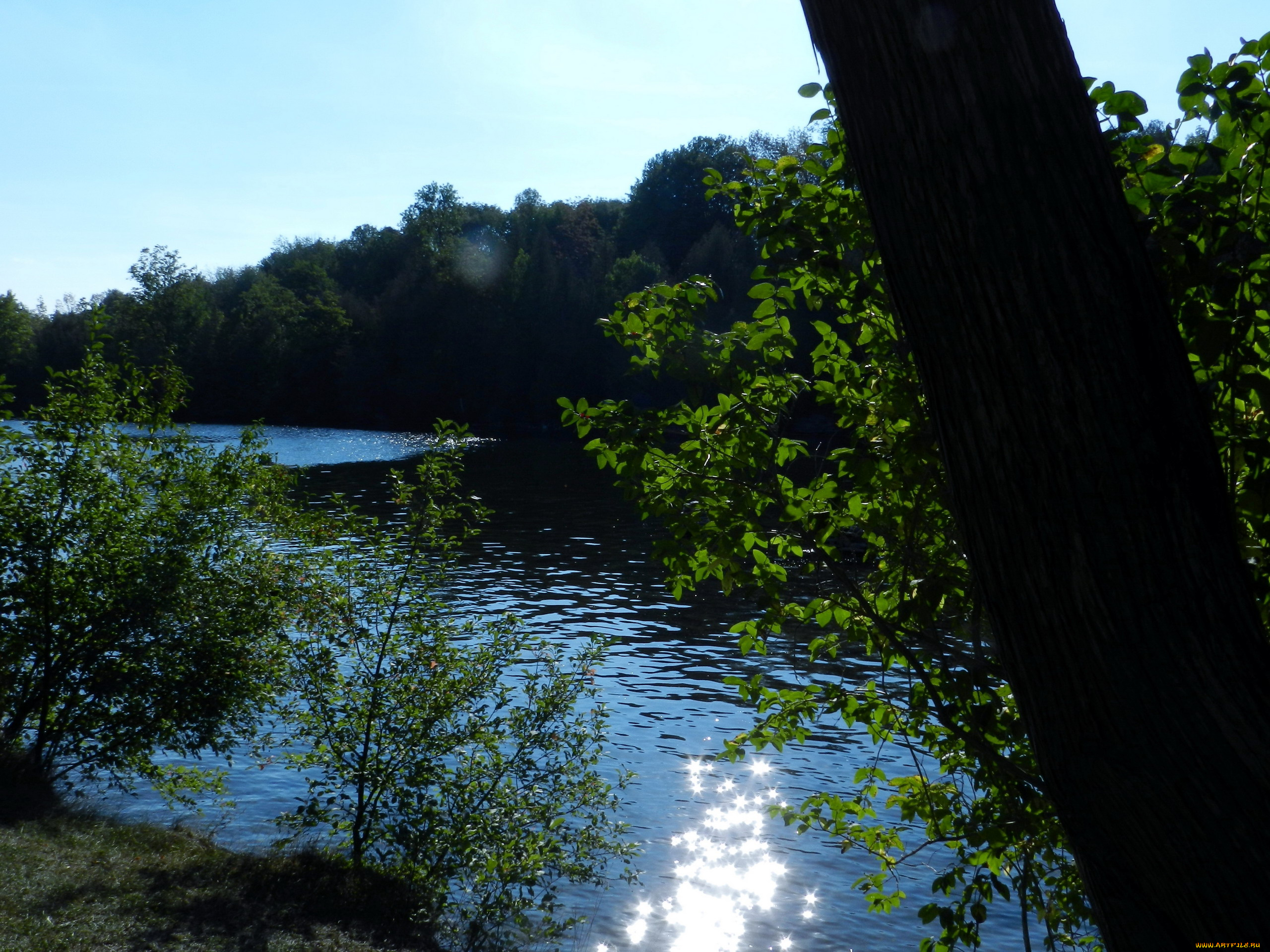 природа, реки, озера, блики, вода