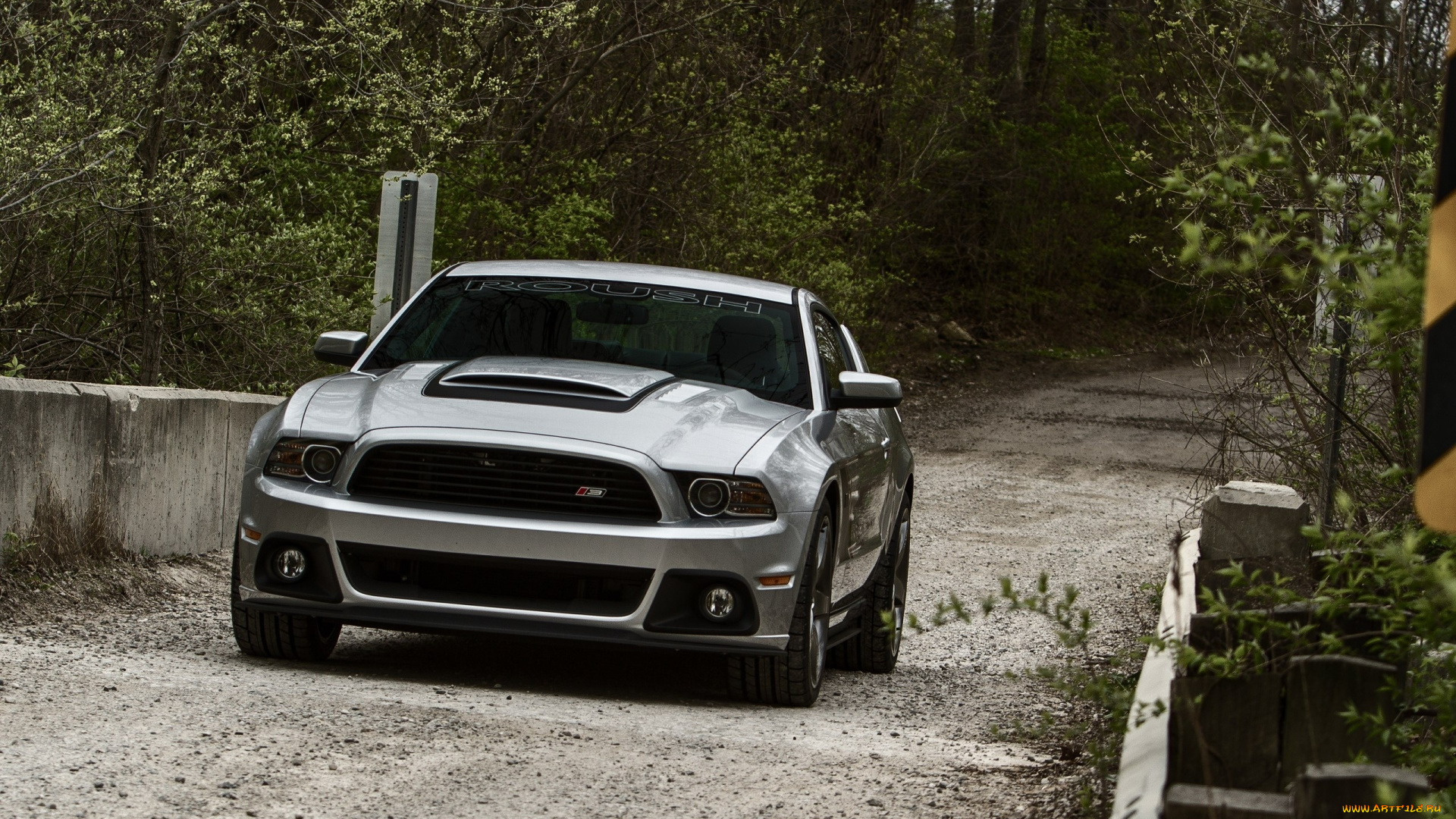 автомобили, mustang, ford