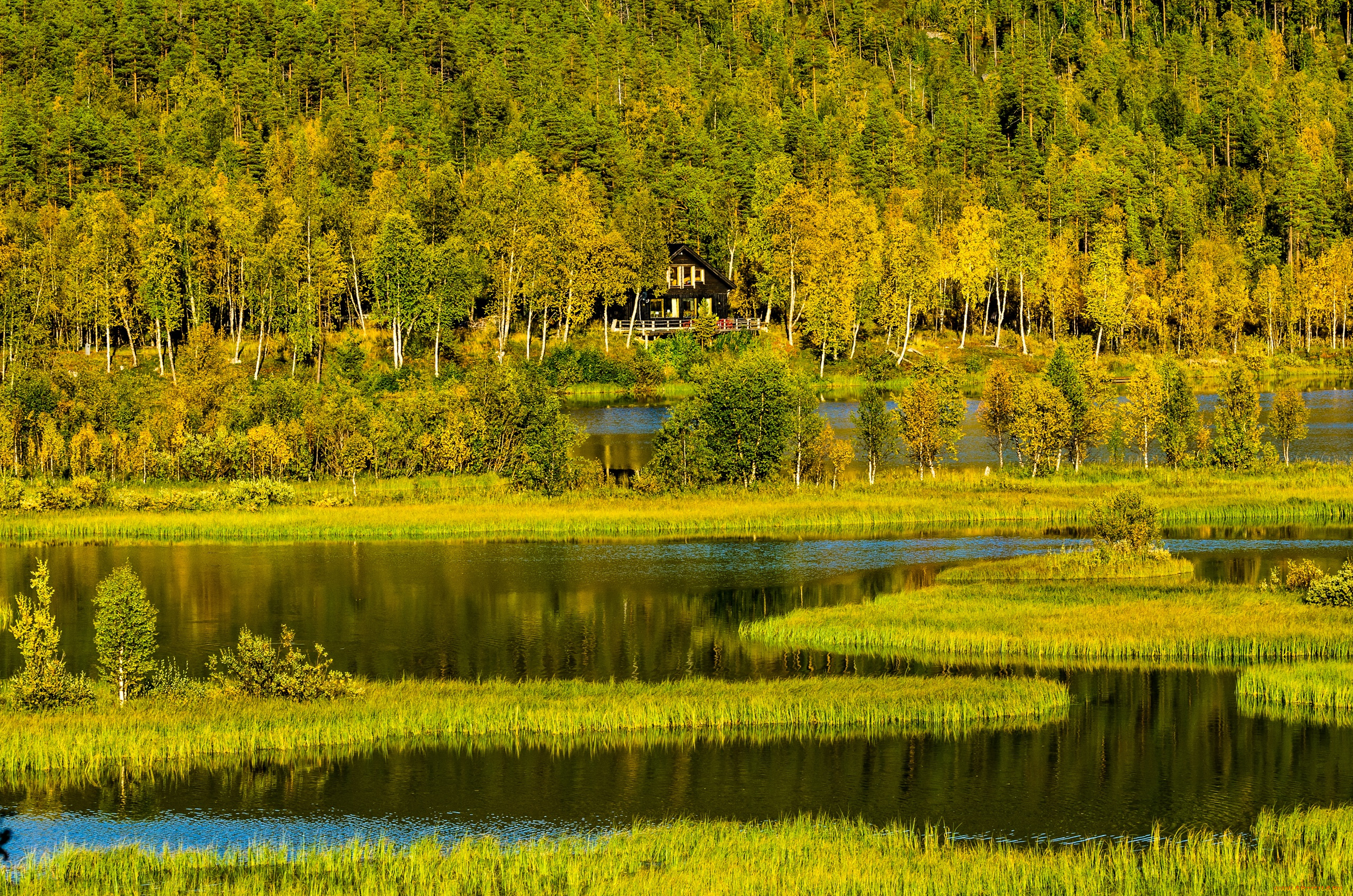 природа, реки, озера, трава, осень, холмы, горы, деревья, лес, дом, озеро, норвегия