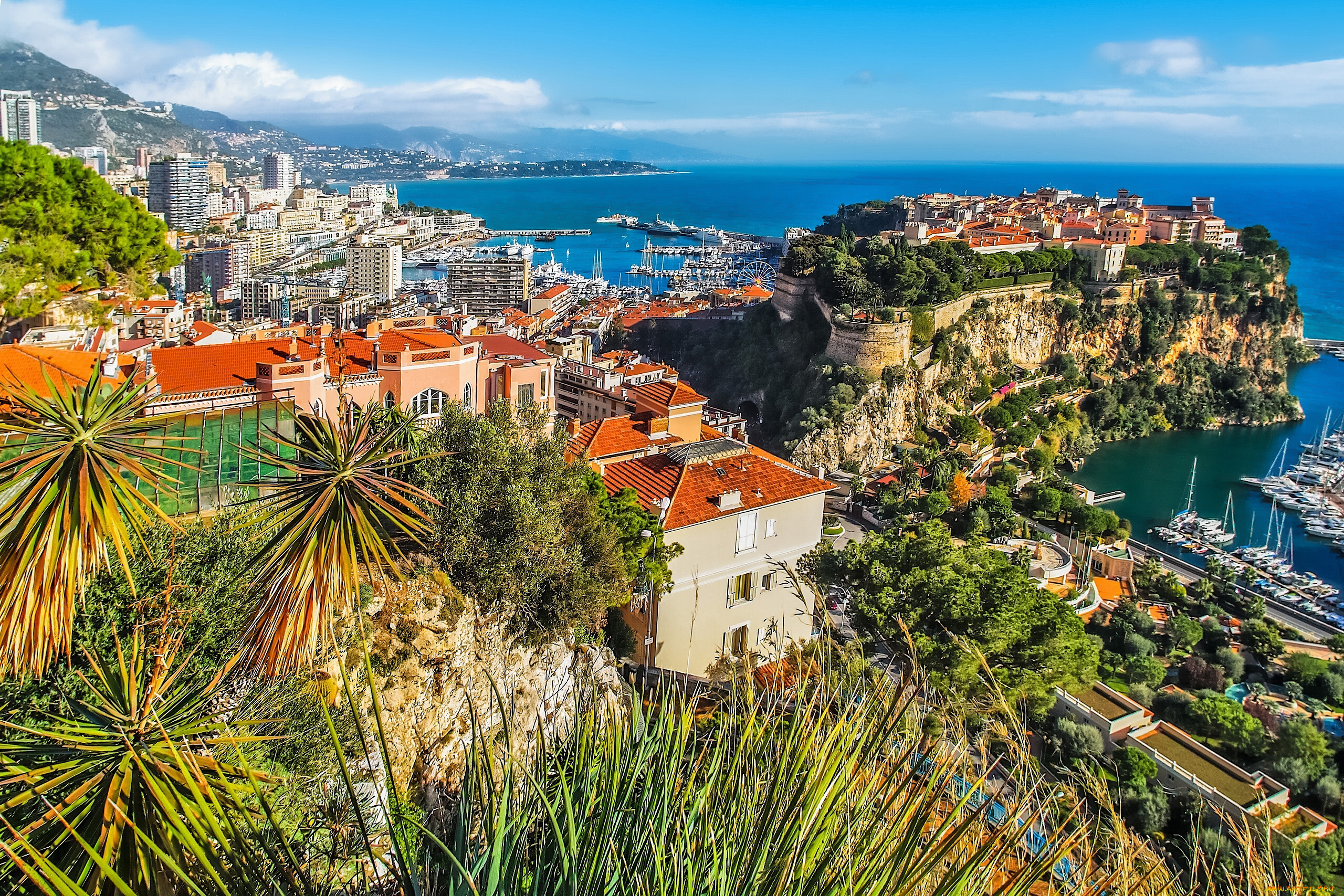 monaco, города, монако, , монако, панорама, побережье, скала, лигурийское, море, ligurian, sea