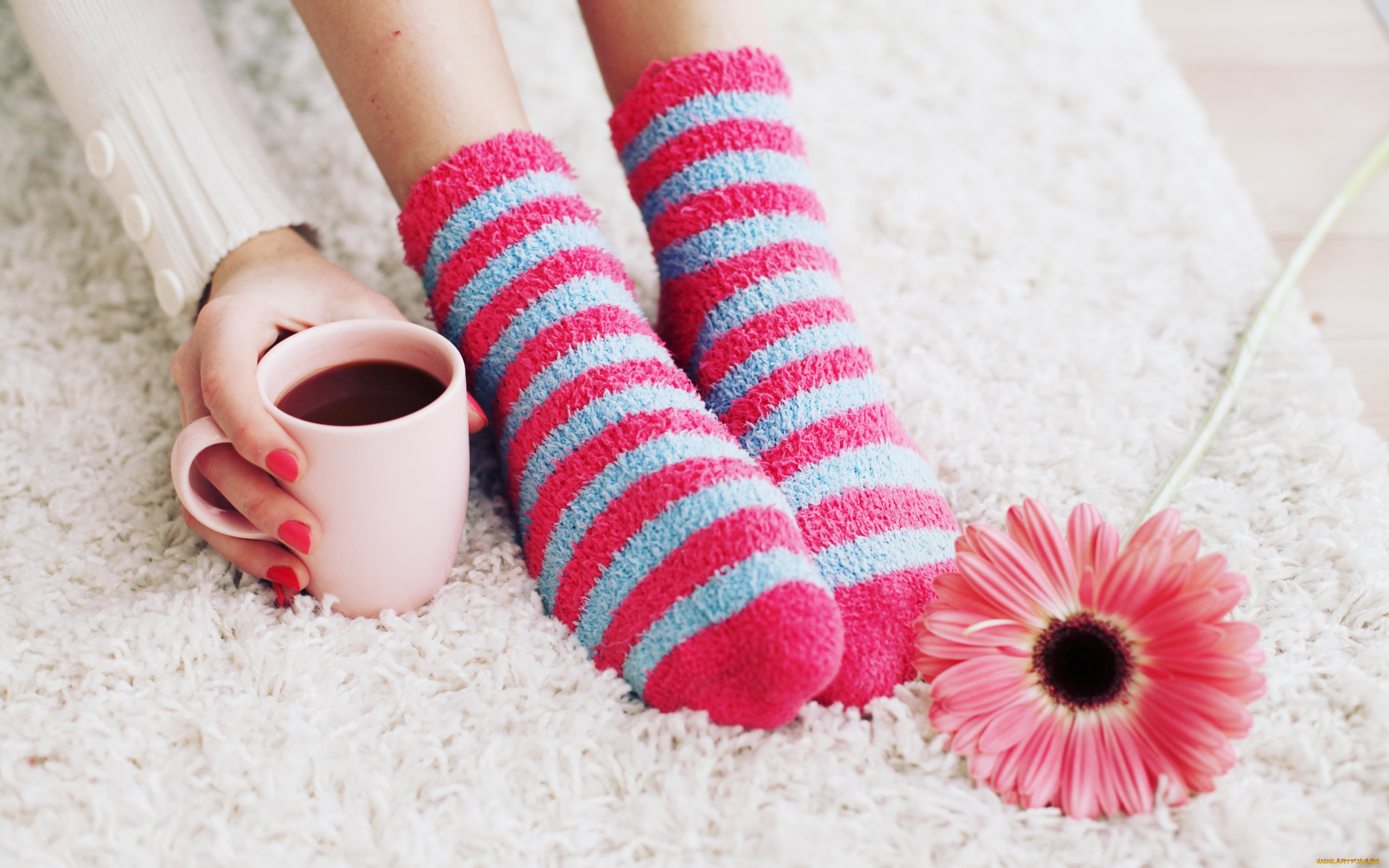 разное, руки, cup, socks, цветок, ноги, носки, чашка, coffee, кофе