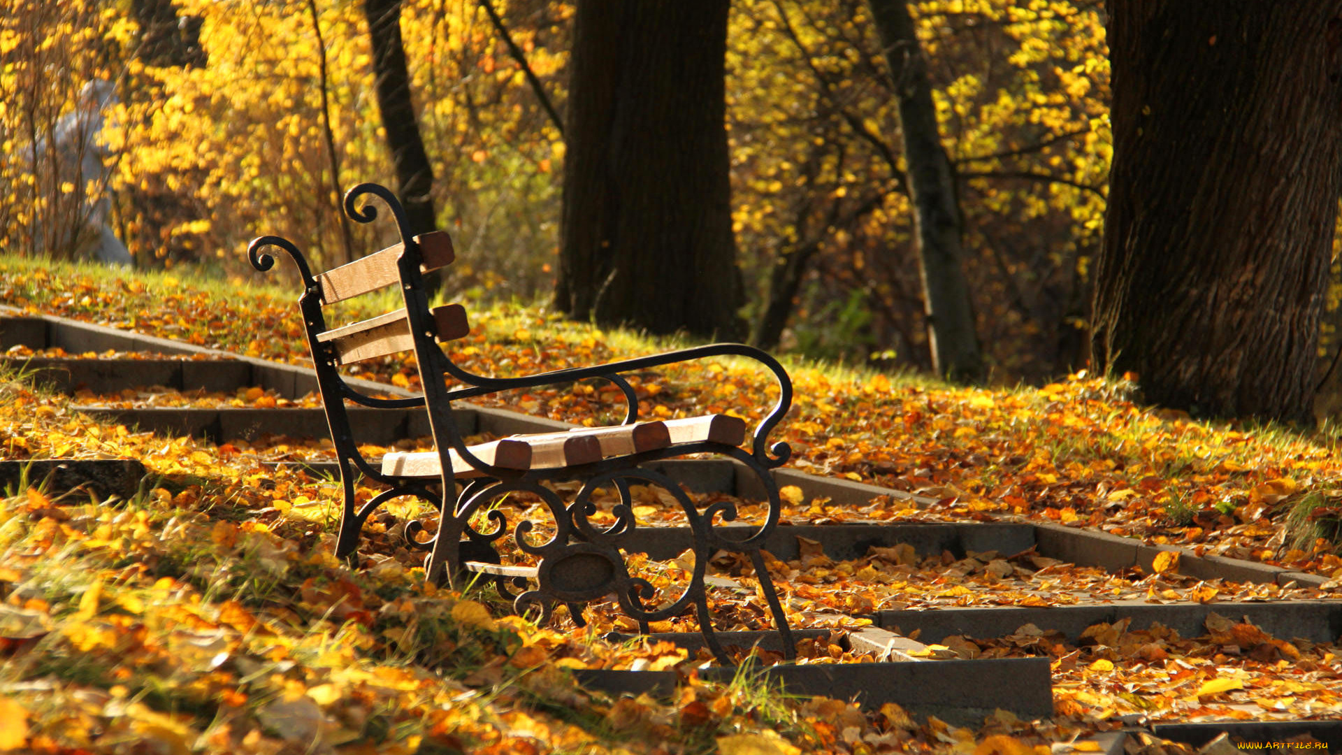 природа, парк, деревья, скамейка, осень, листья