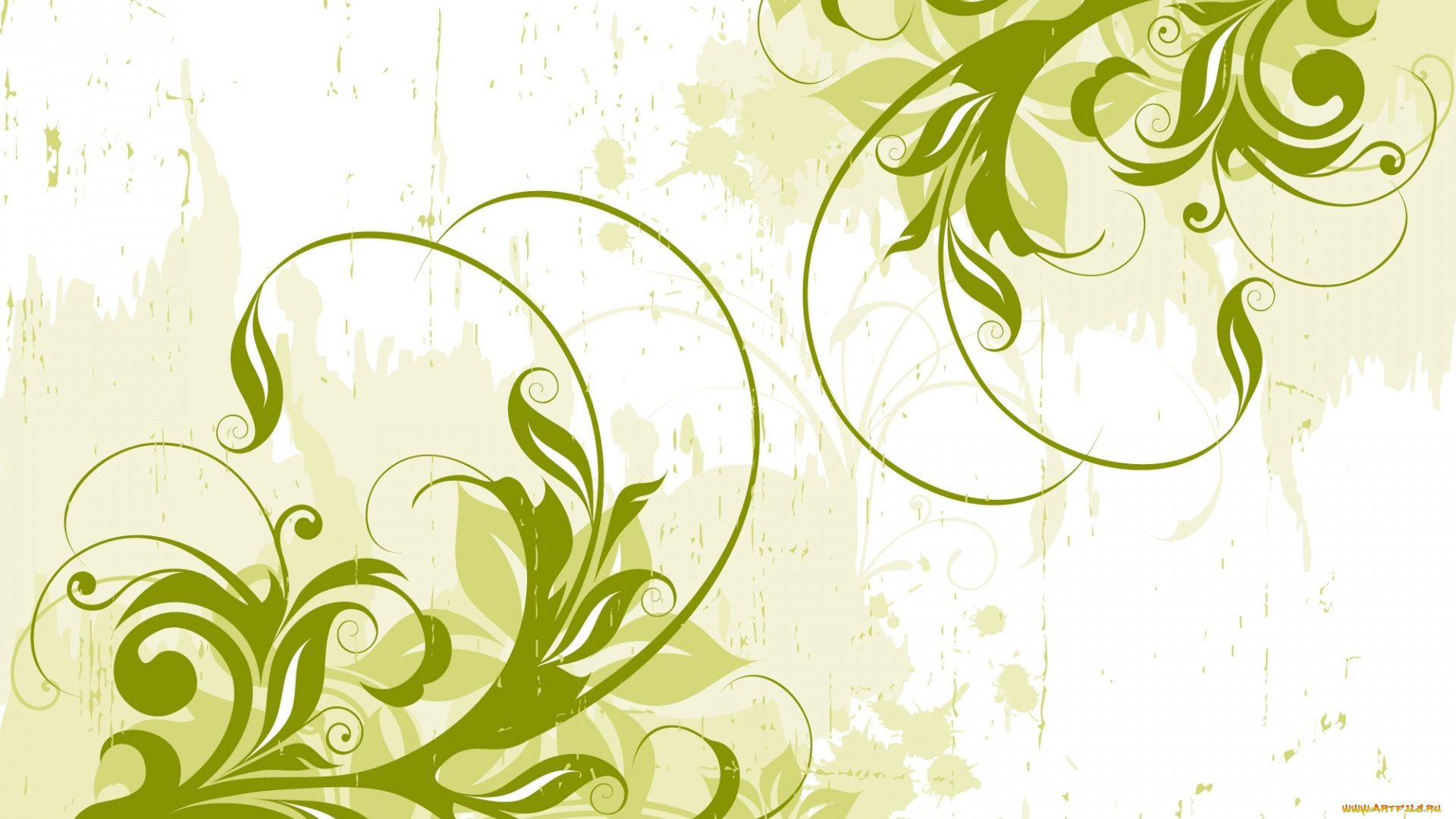 векторная, графика, графика, , graphics, vector, background, design, green, abstract