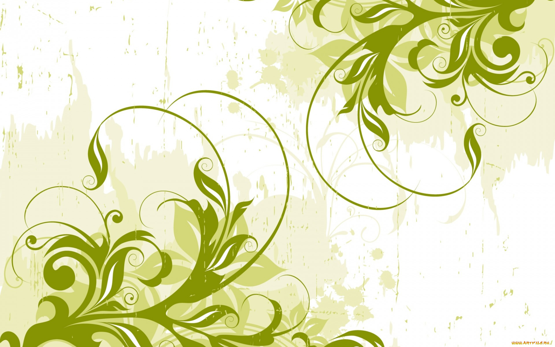 векторная, графика, графика, , graphics, vector, background, design, green, abstract