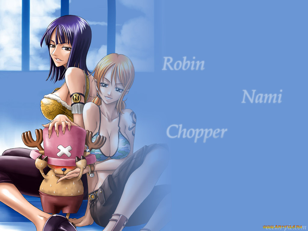 аниме, one, piece, nami, nico, robin, chopper