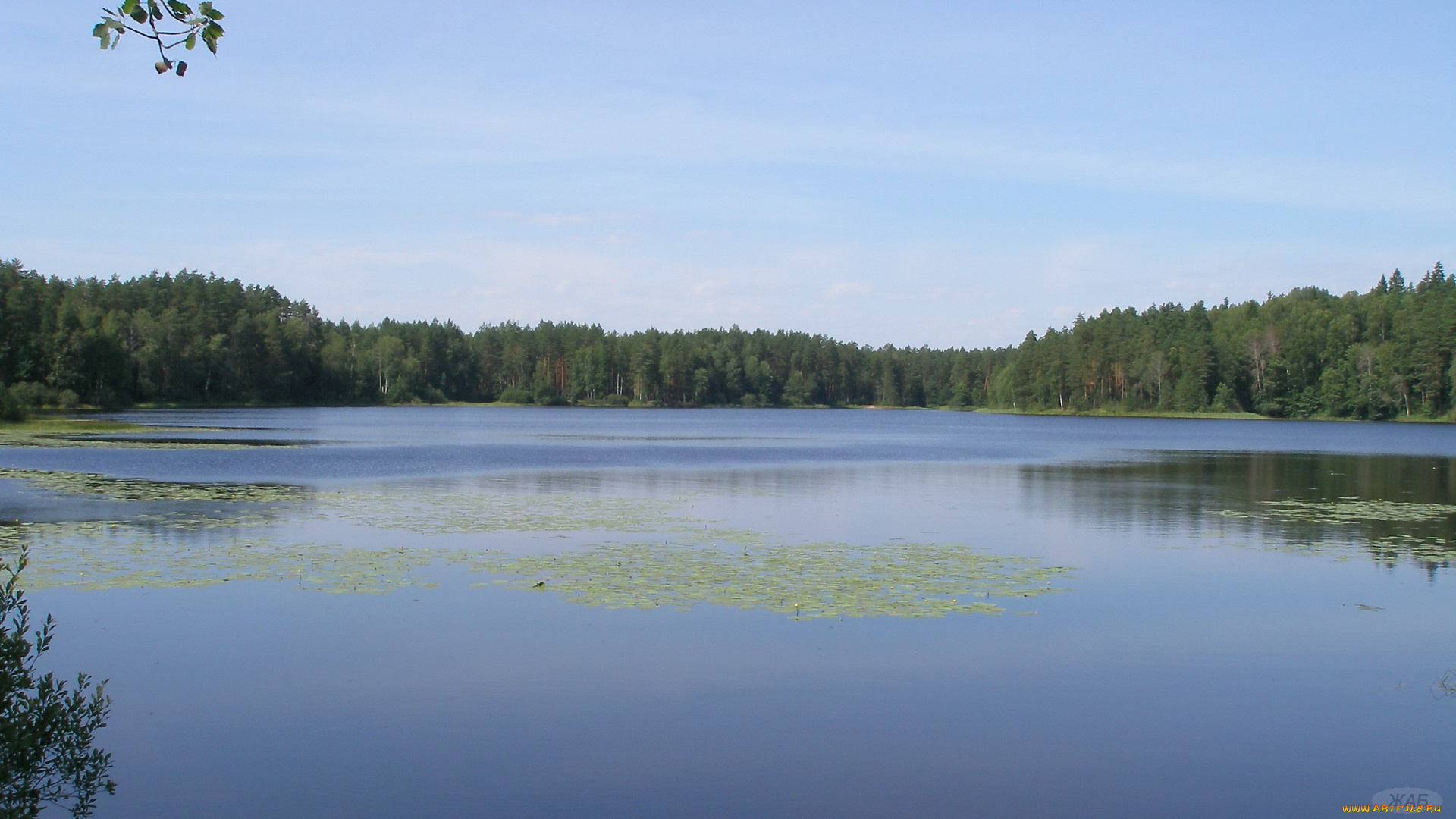 Чарское, озеро, природа, реки, озера, лес, небо, вода