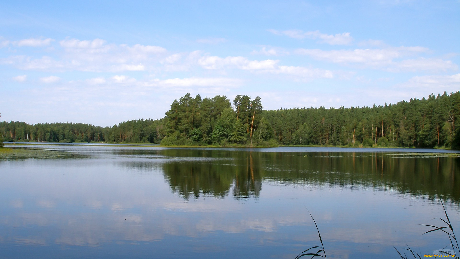 Чарское, озеро, природа, реки, озера, лес, небо, вода