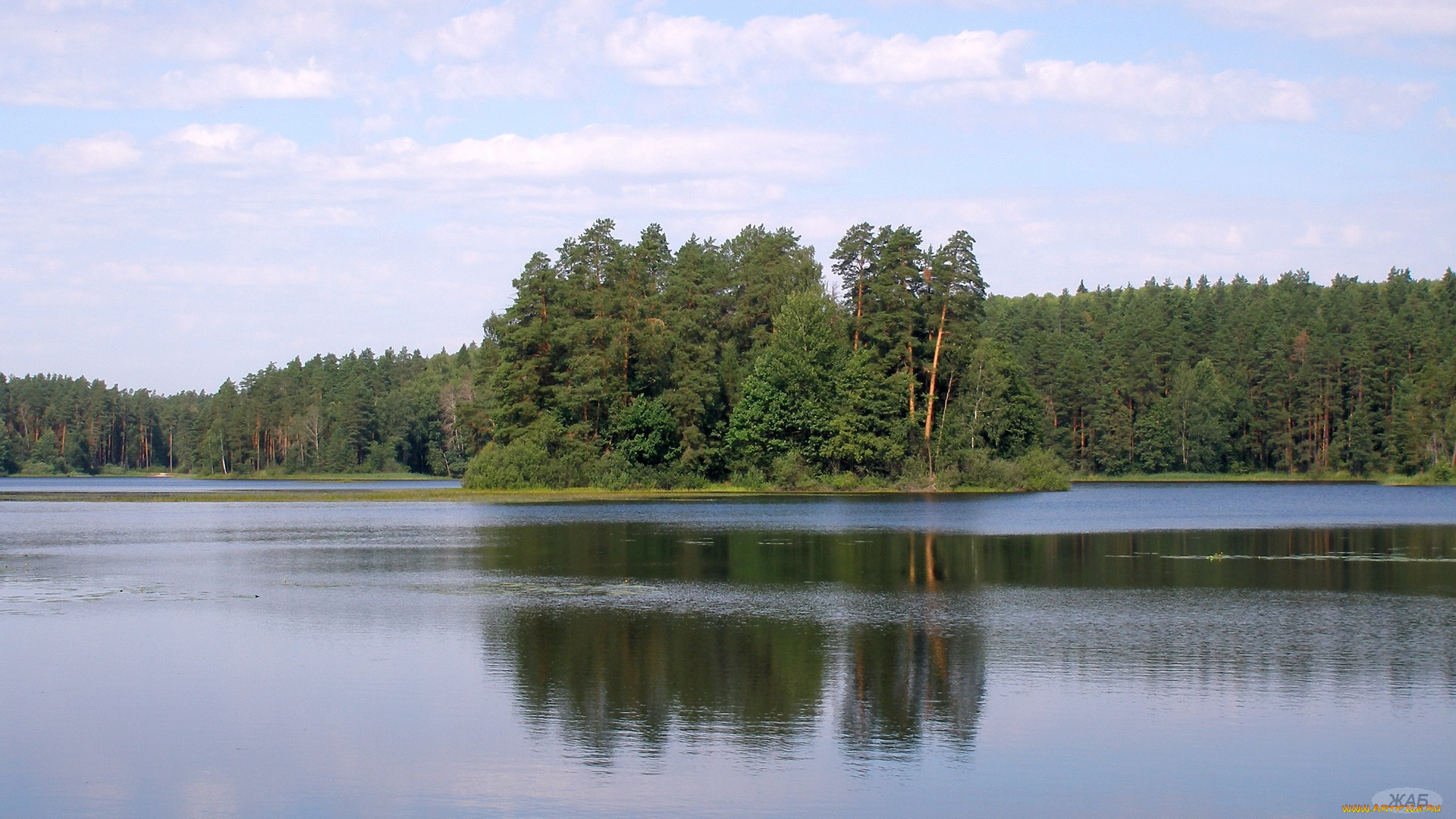 Чарское, озеро, природа, реки, озера, вода, остров, лес