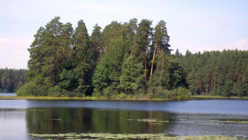 Картинка Чарское озеро природа реки озера вода лес остров