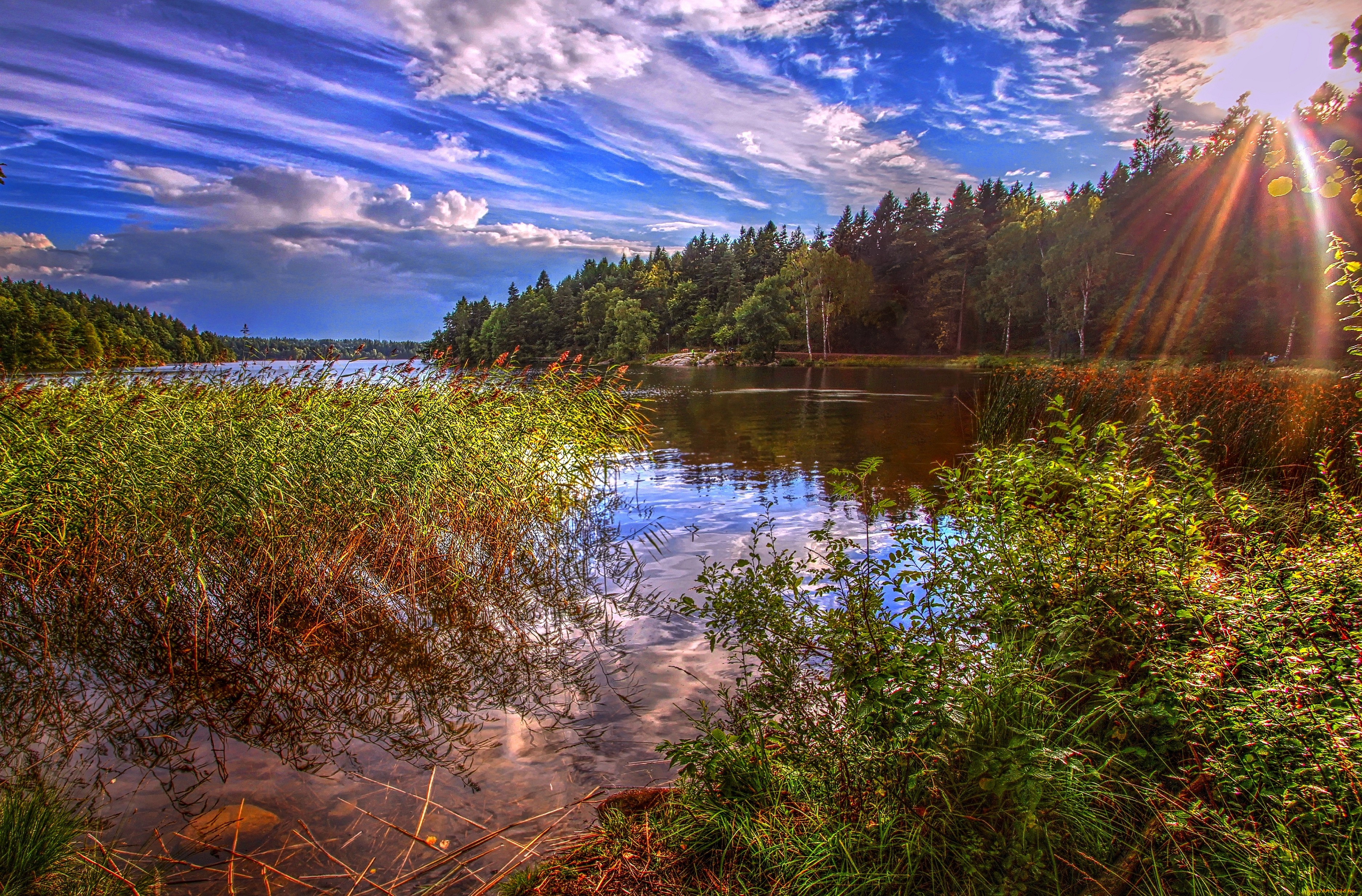 природа, реки, озера, солнце, лес, вода, заросли