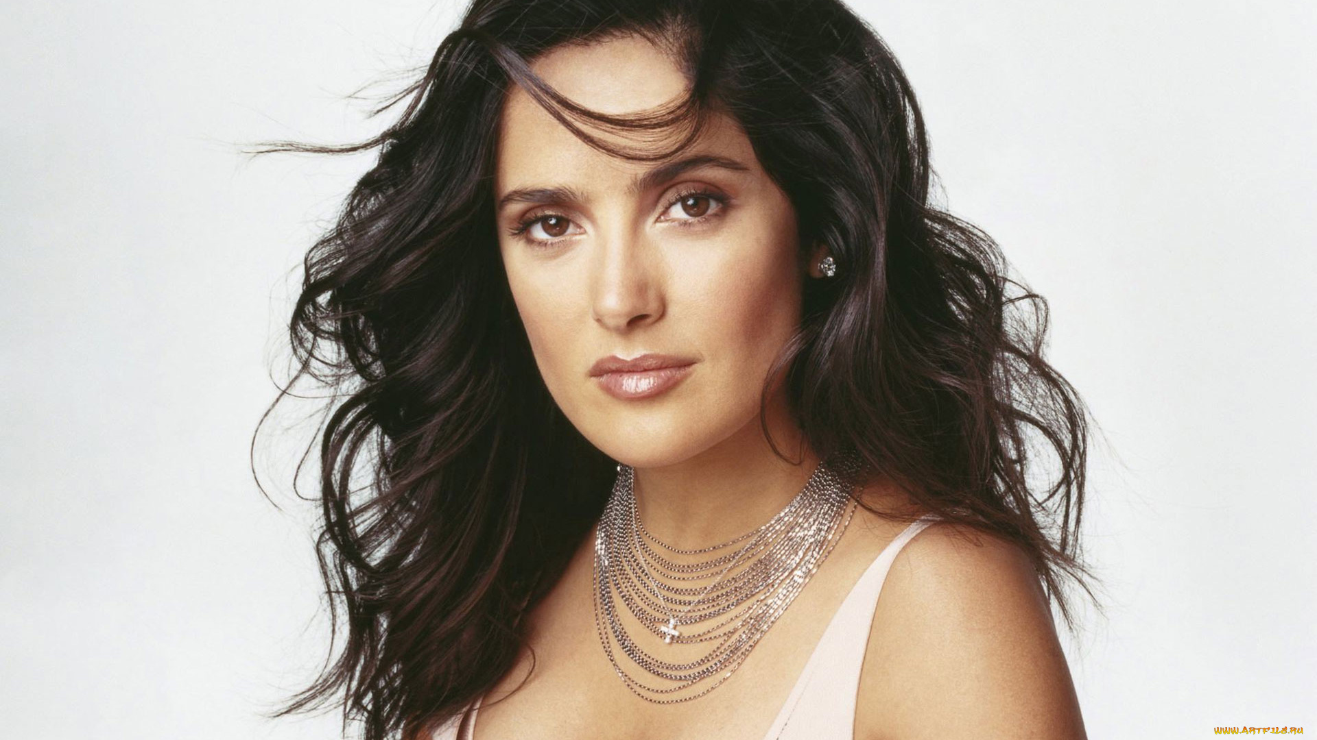 Salma, Hayek, девушки, звезда, голливуд, актриса