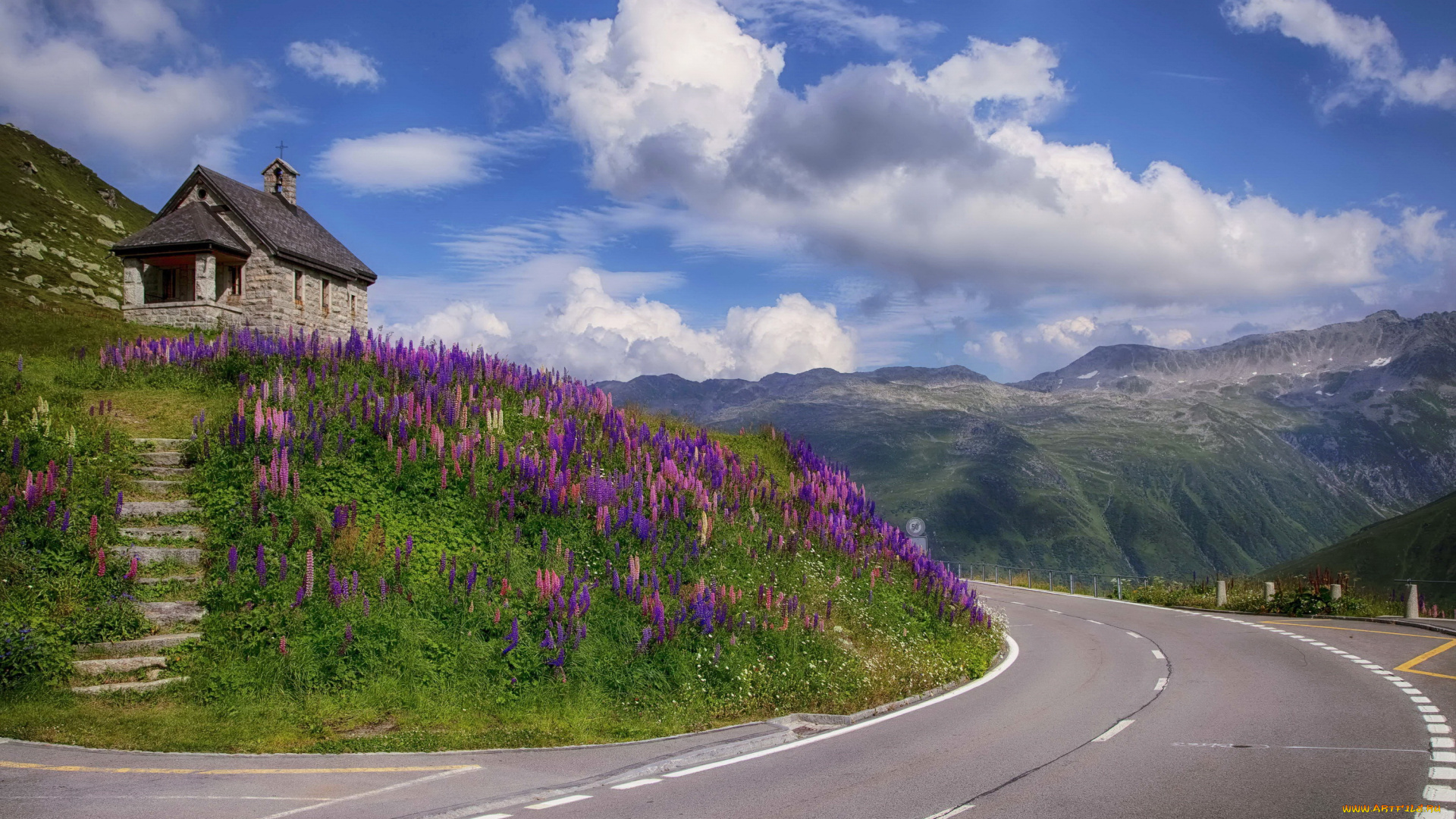 швейцария, реальп, природа, дороги, домик, дорога, цветы