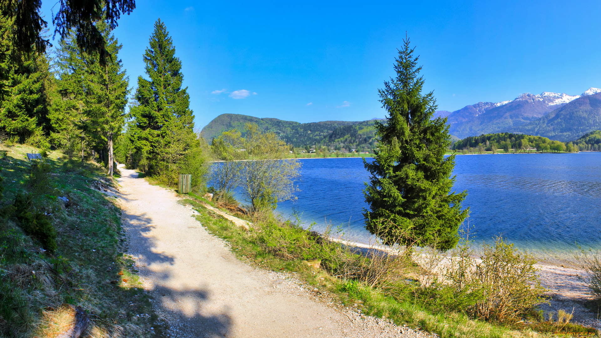 словения, bohinj, lake, природа, реки, озера, озеро, берег