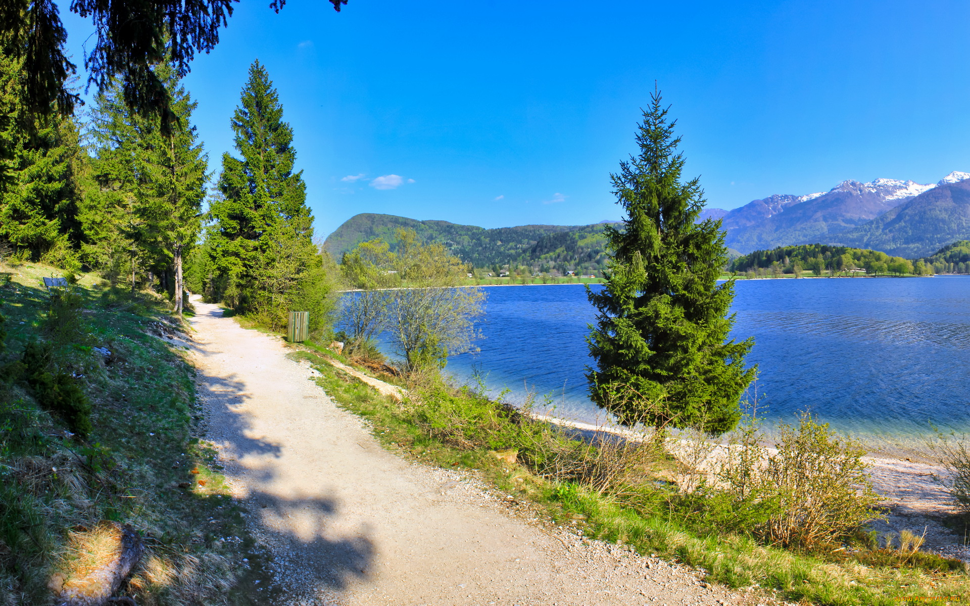 словения, bohinj, lake, природа, реки, озера, озеро, берег