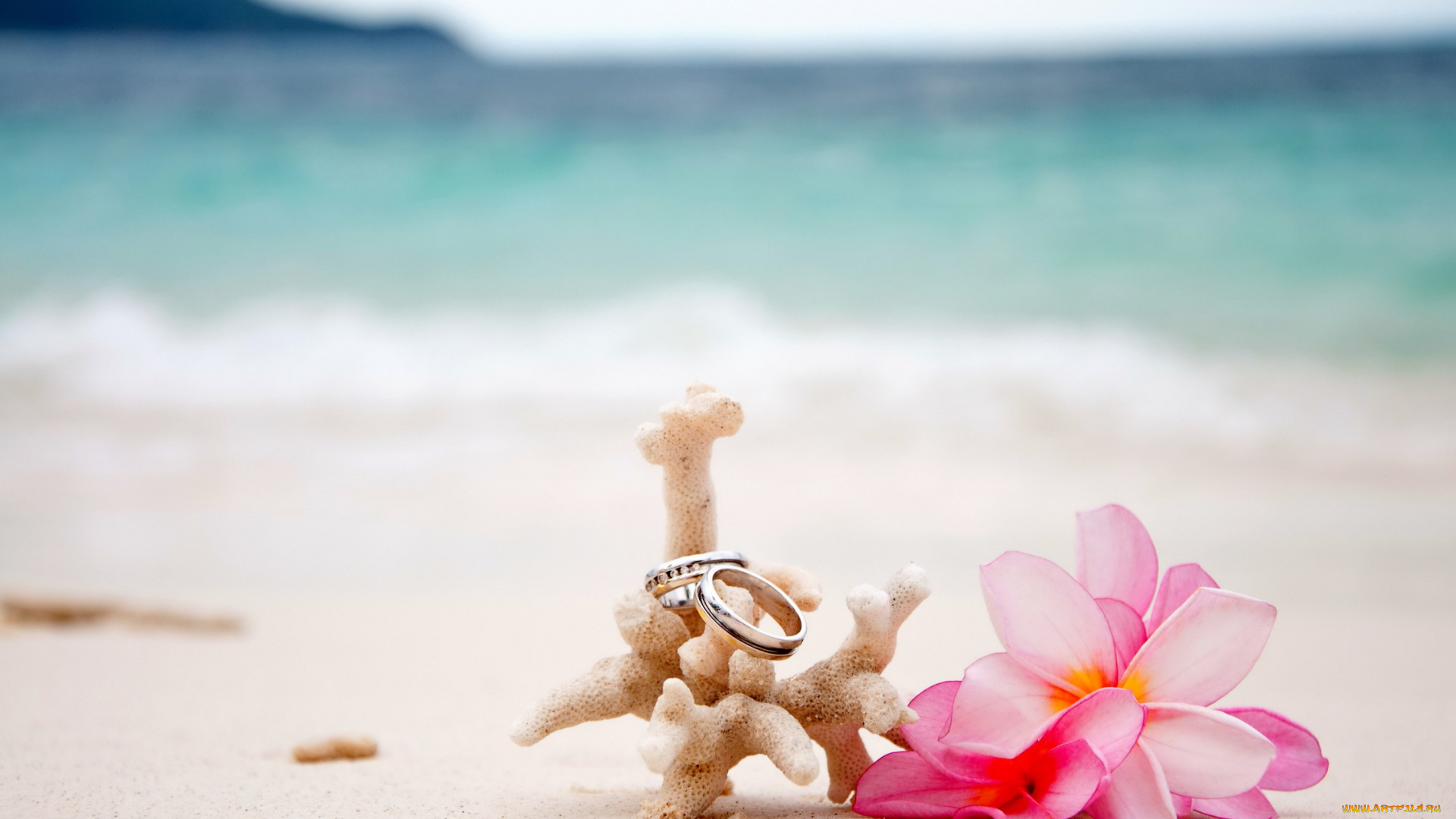 разное, украшения, , аксессуары, , веера, flowers, beach, sand, coral, plumeria, rings, wedding