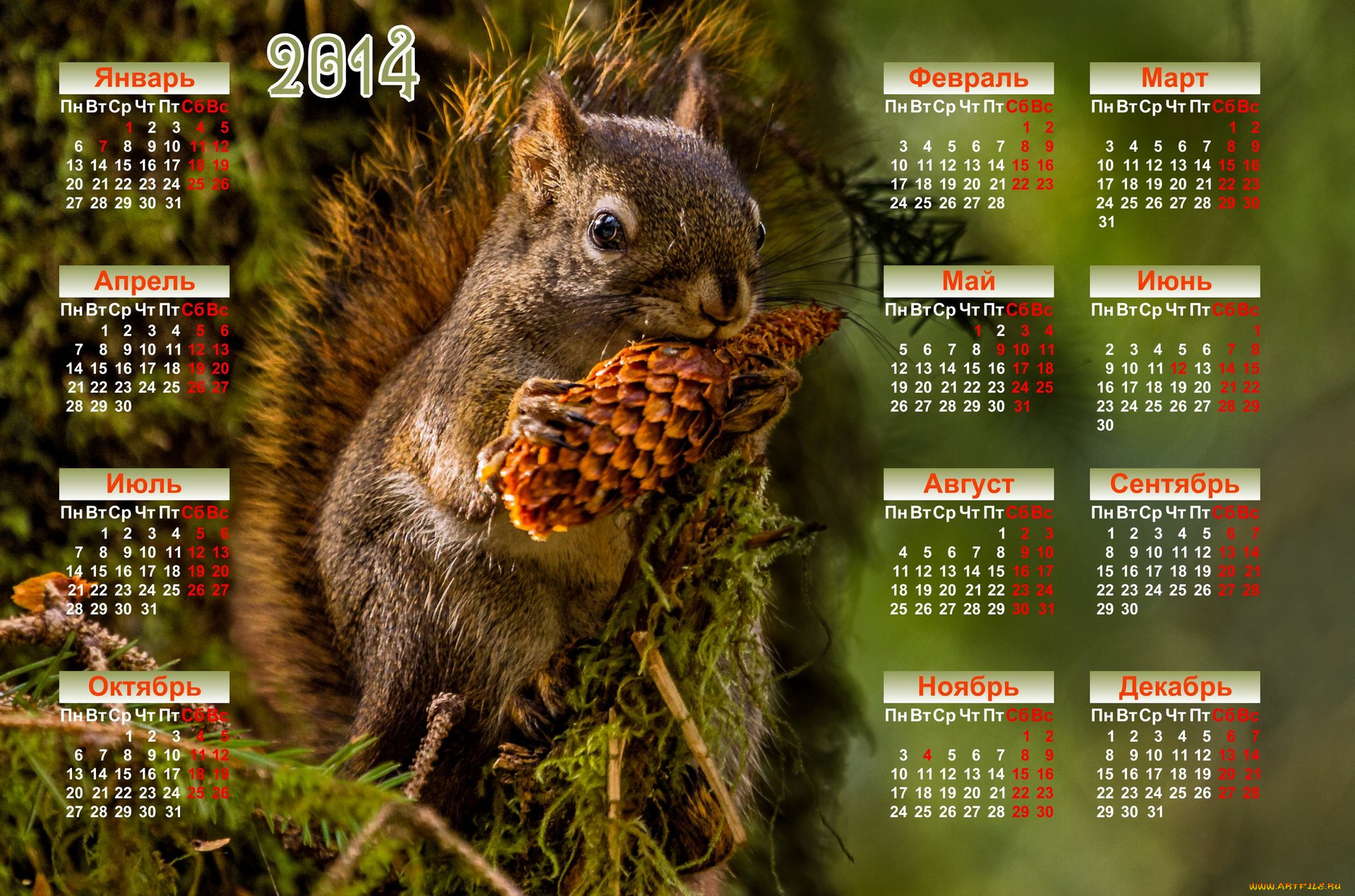 календари, животные, календарь, белка